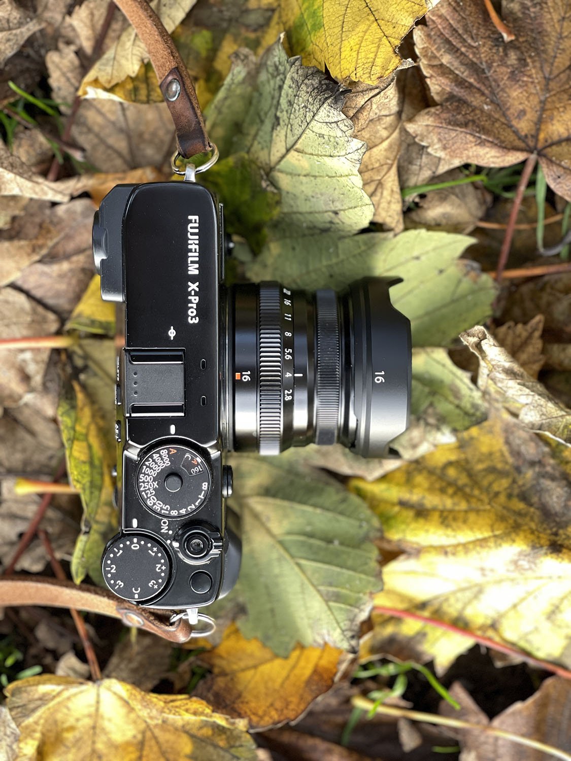 Fujifilm XF 16mm f/2.8 R WR Review | 5050 Travelog