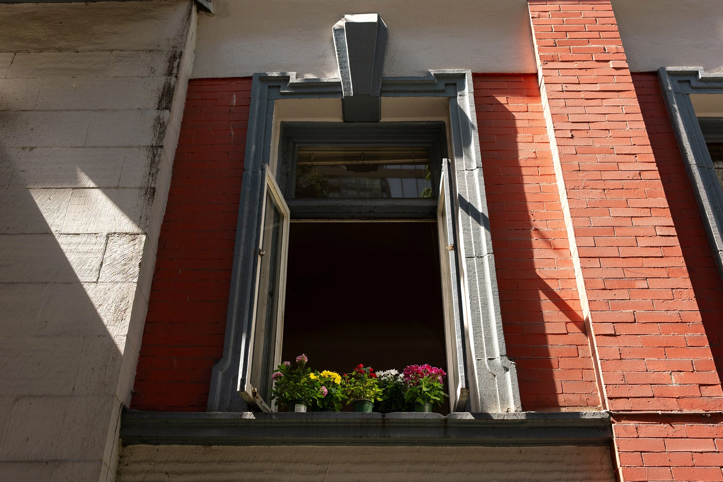 Flowers in an apartment window on Bute Street in Vancouver. Sample image from a Sigma 35mm f/1.4 DG II Art and Leica SL2-S.