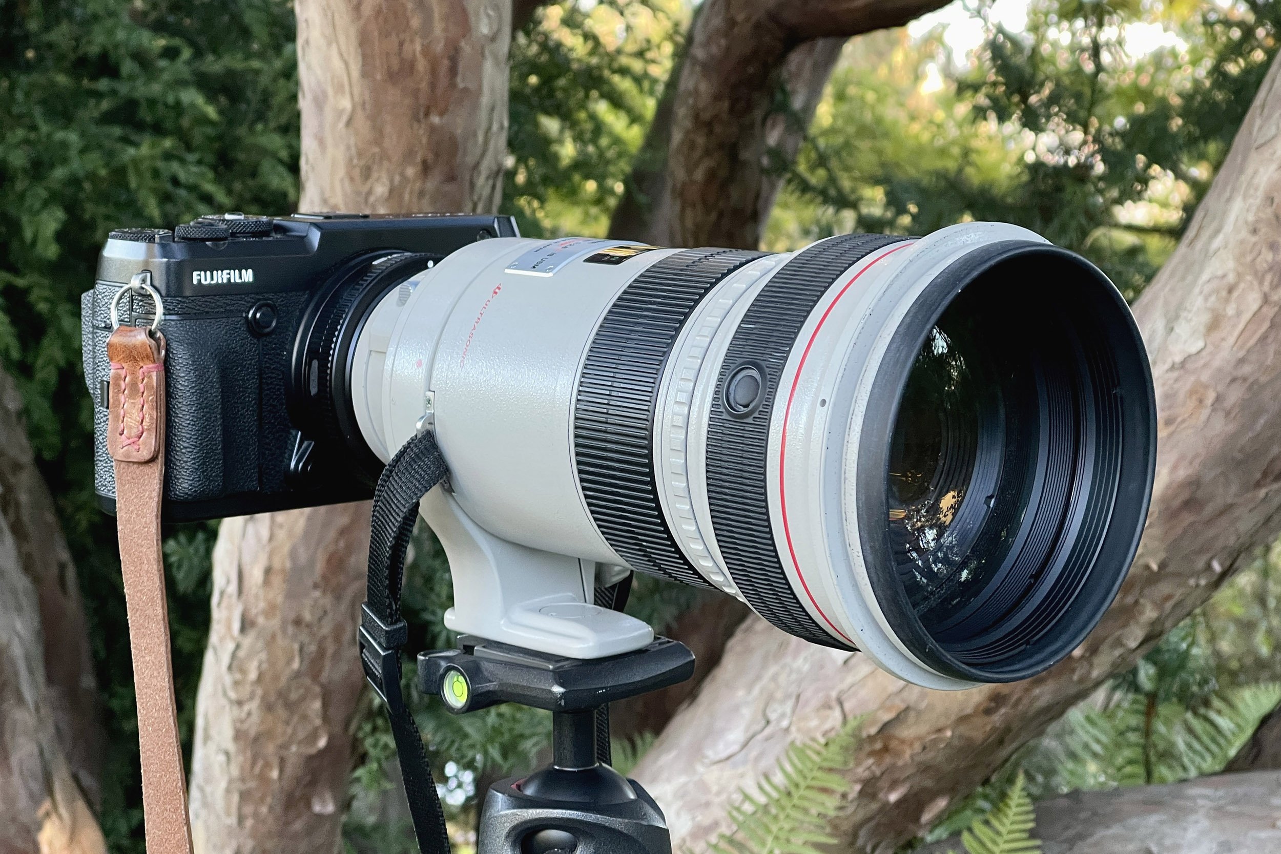 Canon EF 300mm f/2.8L IS Review Adapted to Fujifilm GFX 5050 Travelog