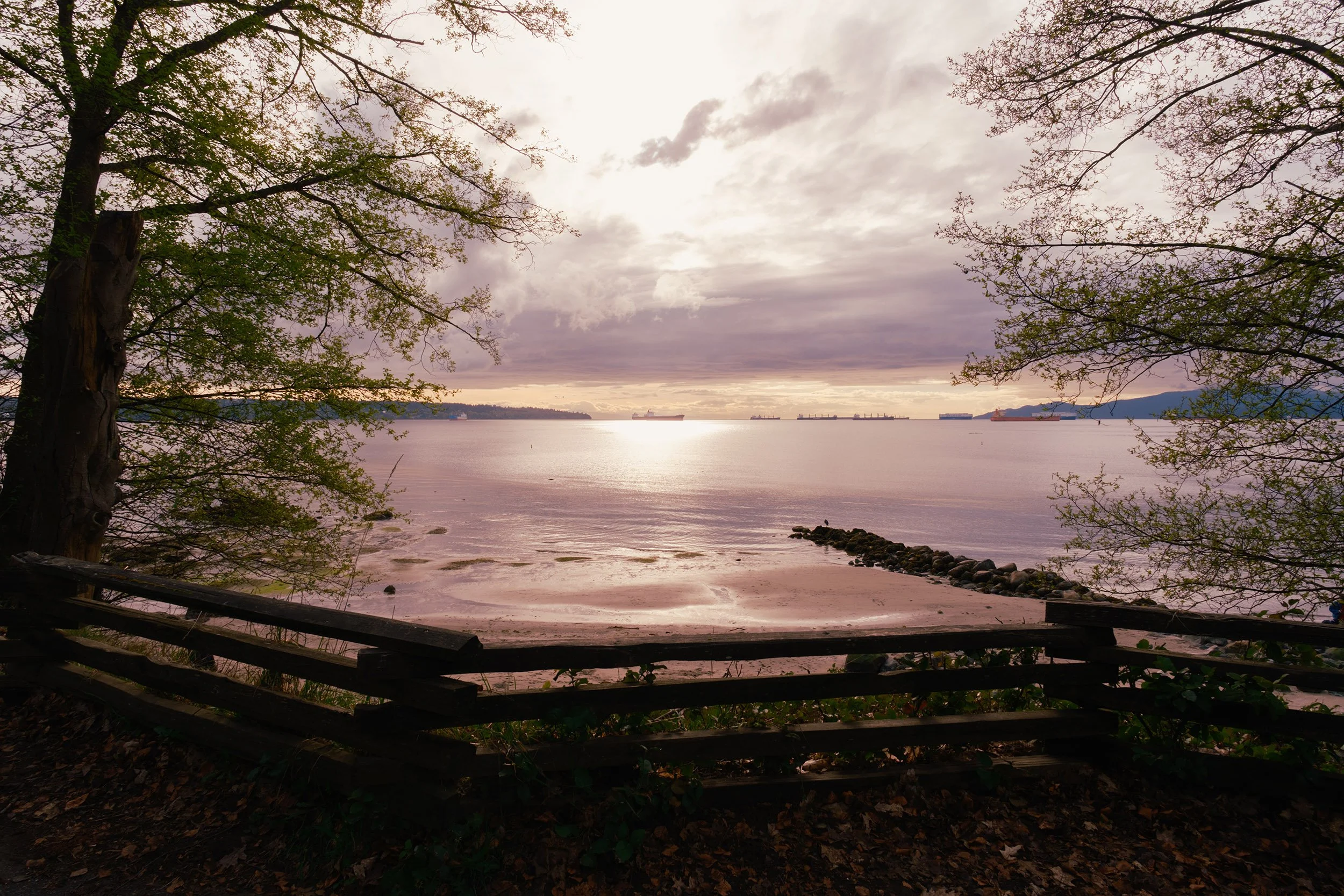 English Bay view in April. Sample image from a Sigma 15mm f/1.4 DC Contemporary and Fujifilm X-E5.