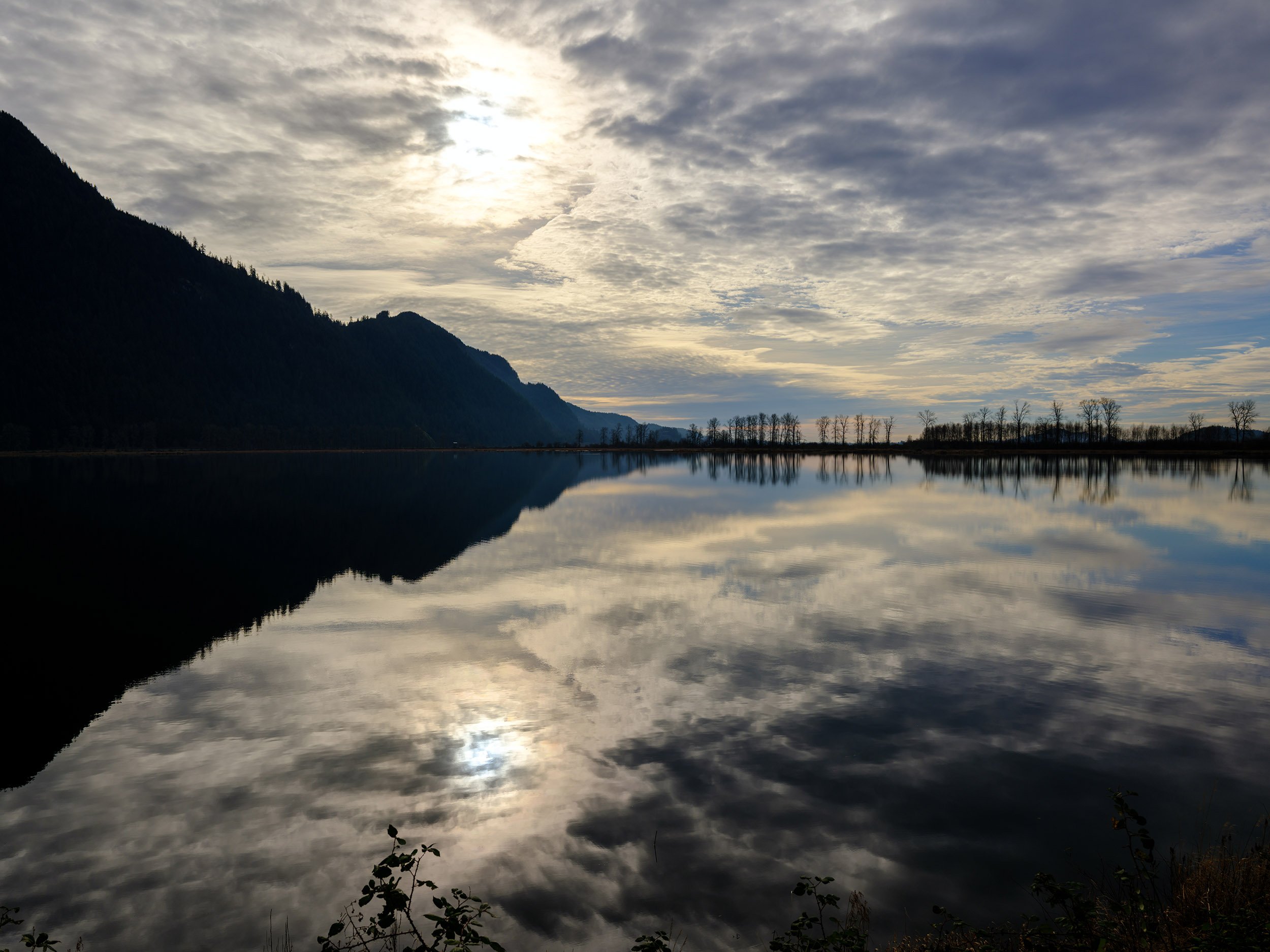 Pitt-Addington Marsh lake reflection