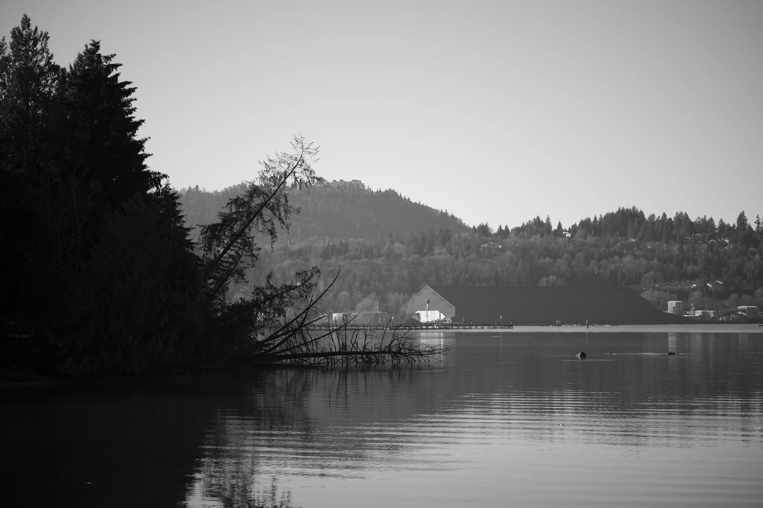 Port Moody, January 16, 2025