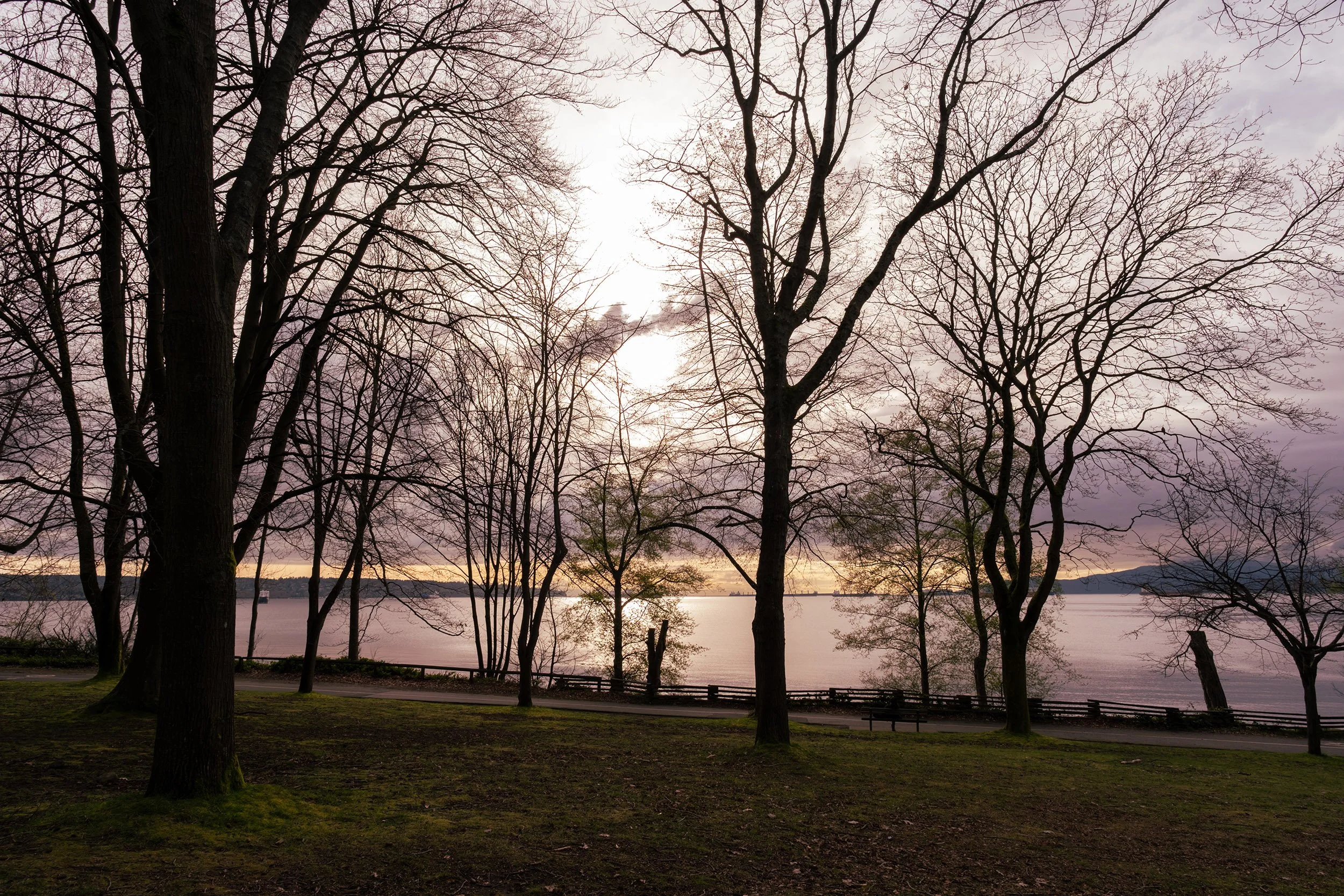 View of English Bay from Stanley Park. Sample image from a Sigma 15mm f/1.4 DC Contemporary and Fujifilm X-E5.