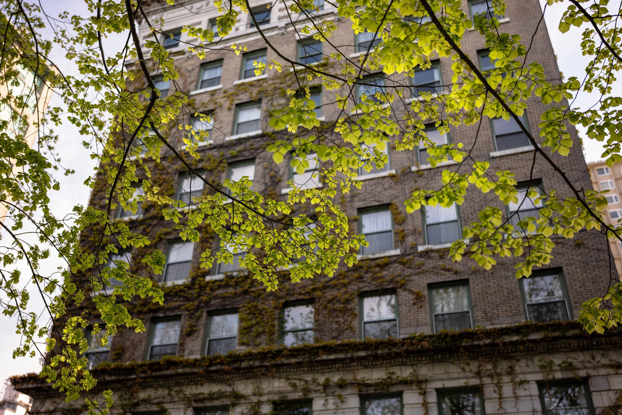 Late April morning at Sylvia Hotel in Vancouver. Sample image from a Sigma 35mm f/1.4 DG II Art and Leica SL2-S.