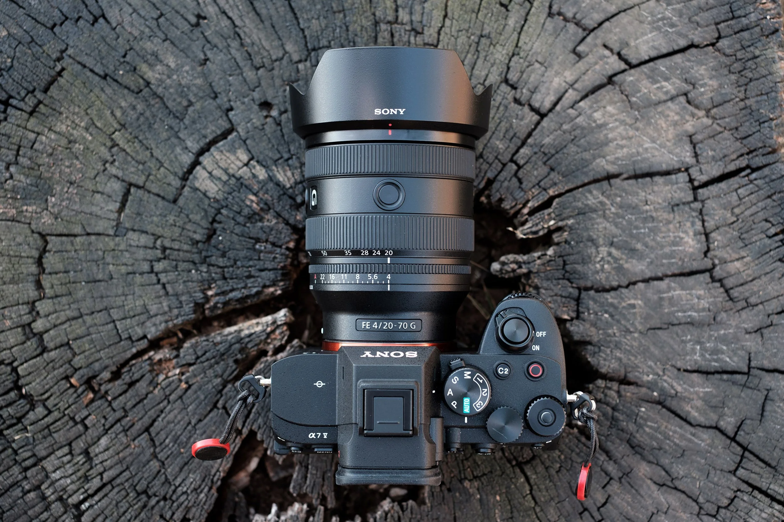 The Sony FE 20-70mm f/4 G and Sony A7 V