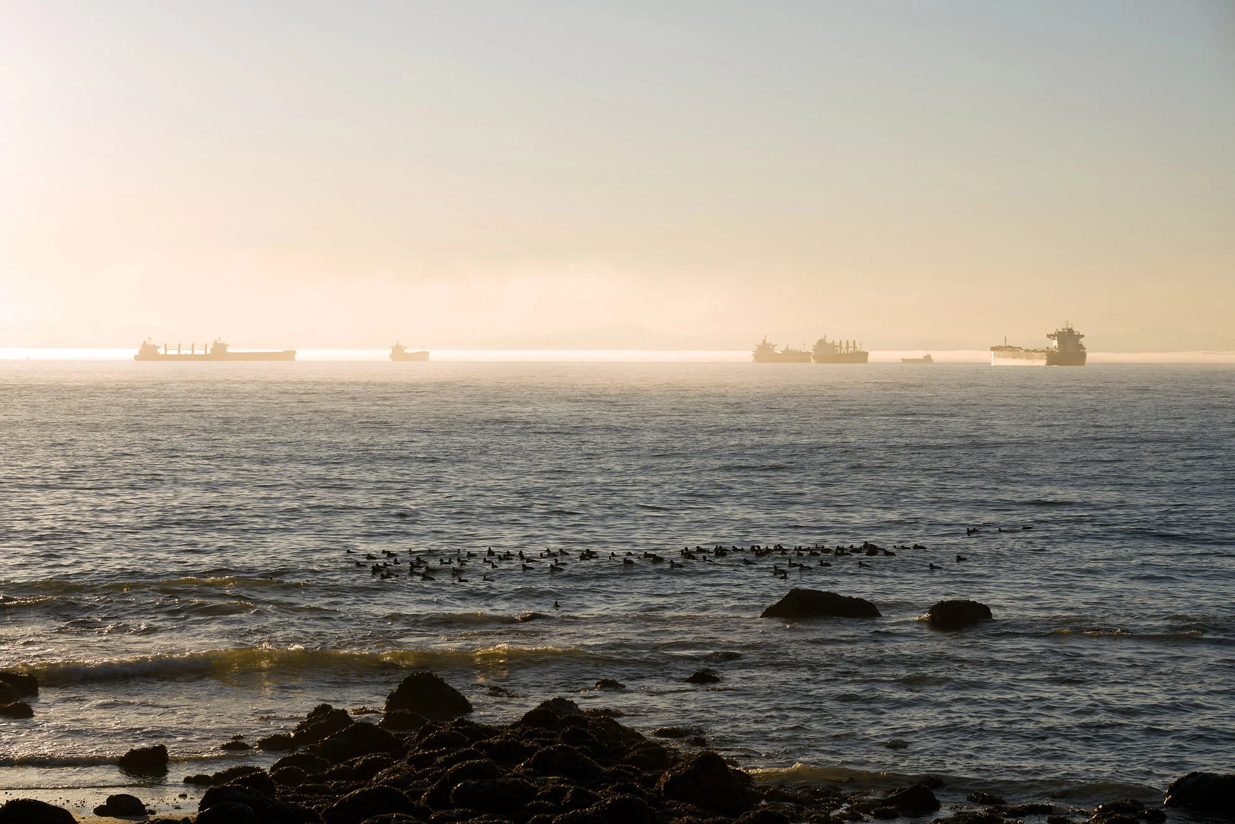 English Bay in Vancouver. Sample image from a Sony A7V and Sony FE 85mm f/1.4 GM II