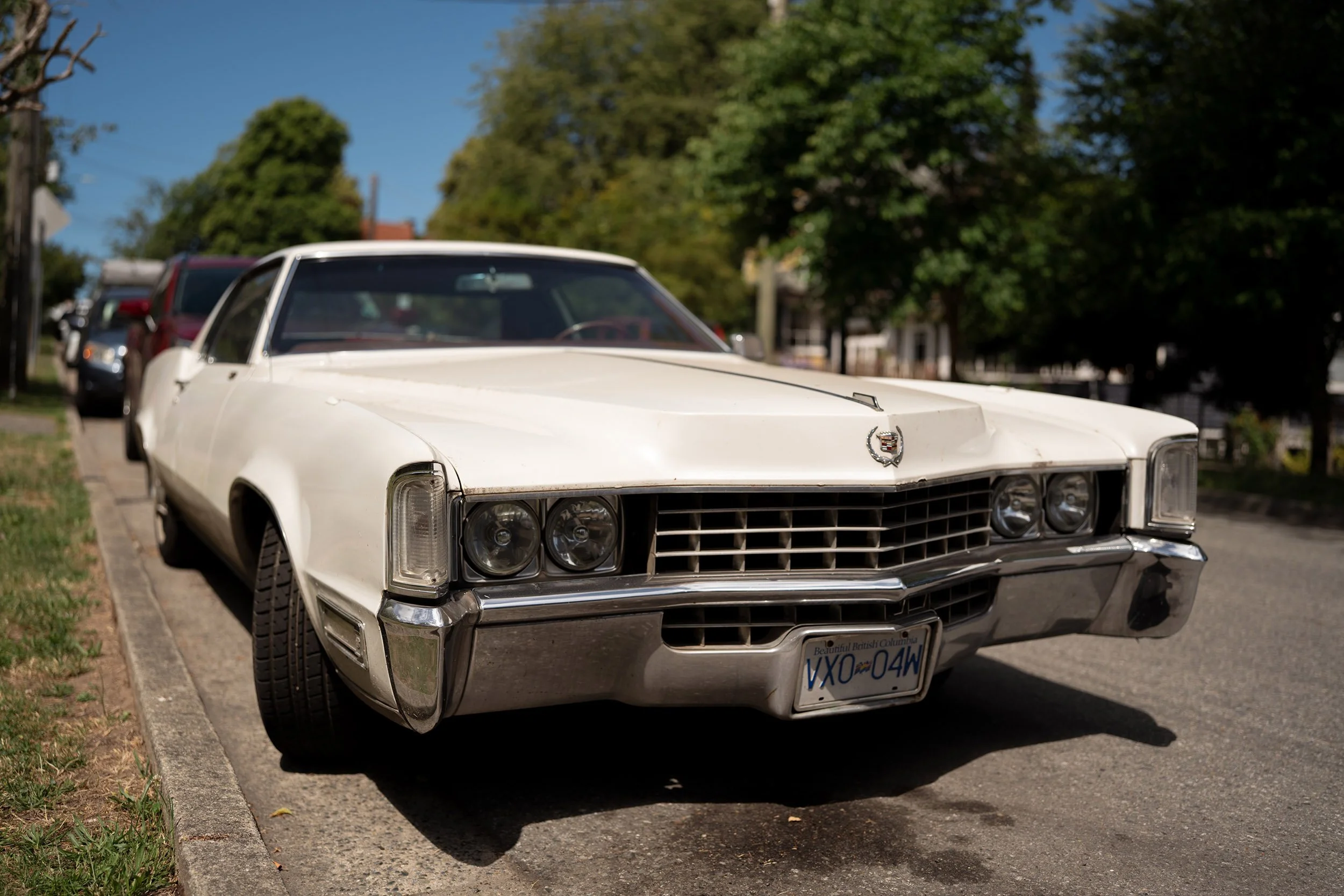 Cadillac Eldorado white. Sigma 35mm f/1.4 DG II Art (Sony E-Mount) on a Sony A7V.