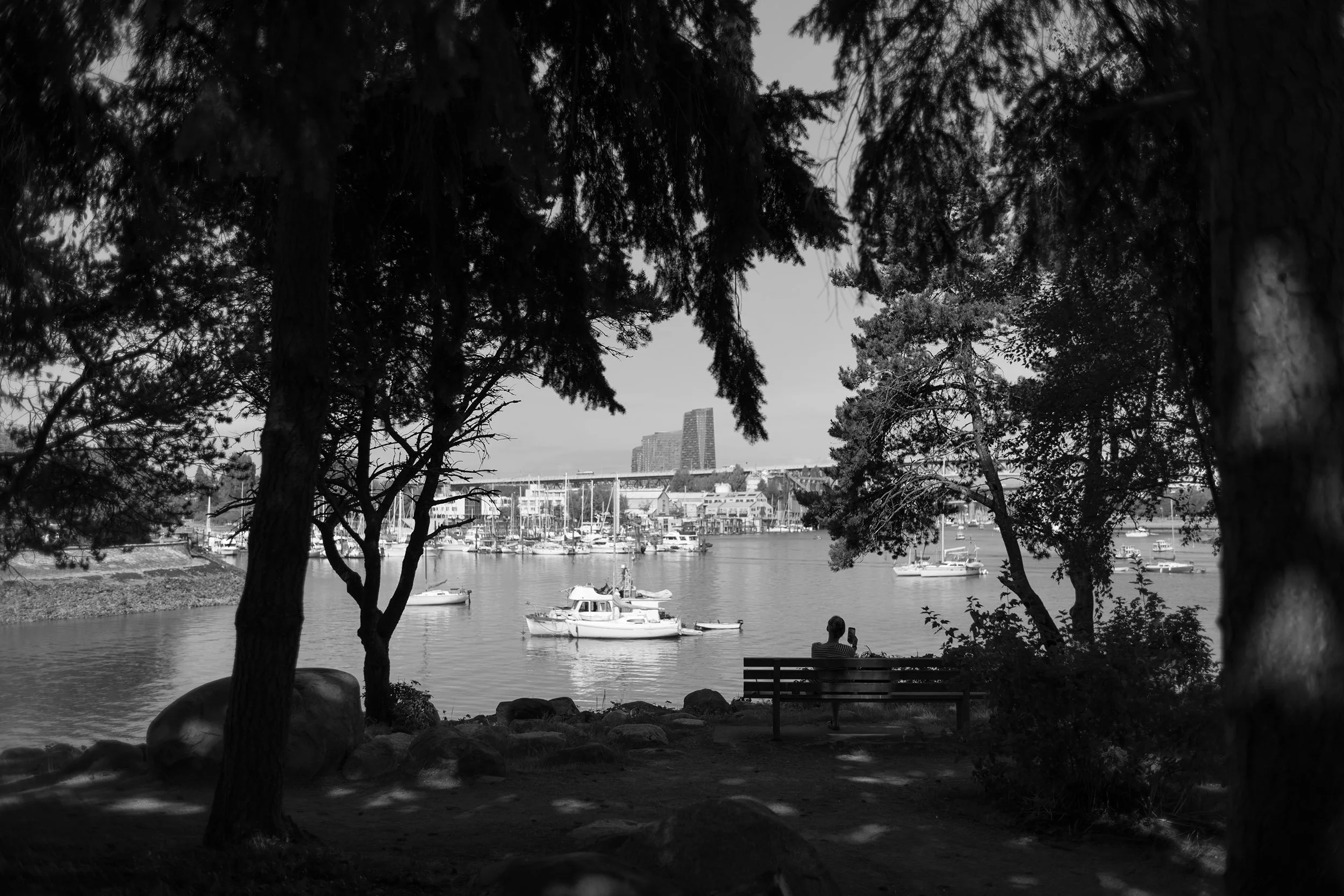 A view from a bench at False Creek in Vancouver. Sample image from a Voigtländer Nokton Classic 35mm f/1.4 II MC and Leica SL2-S.