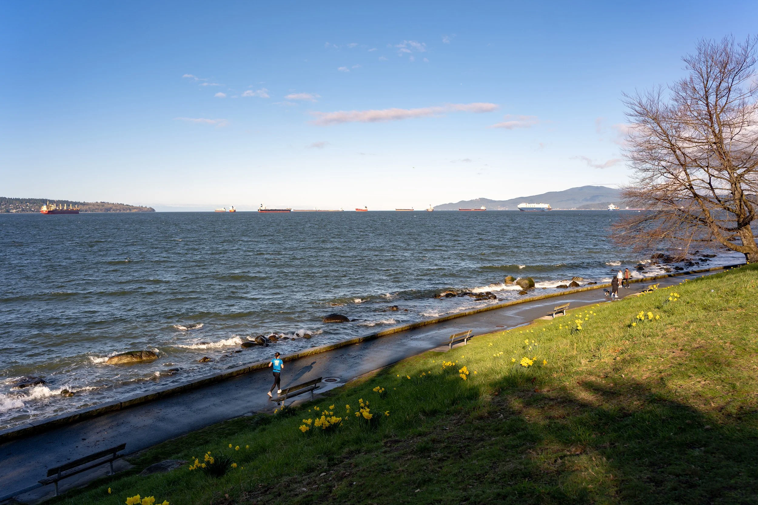 March morning at English Bay, 2026