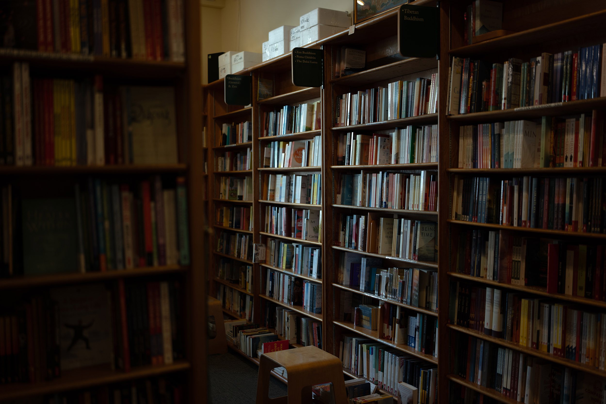 Books on display at a West 4th Ave. book store in Vancouver. Sample image from a Sigma 35mm f/1.4 DG II Art and Leica SL2-S.