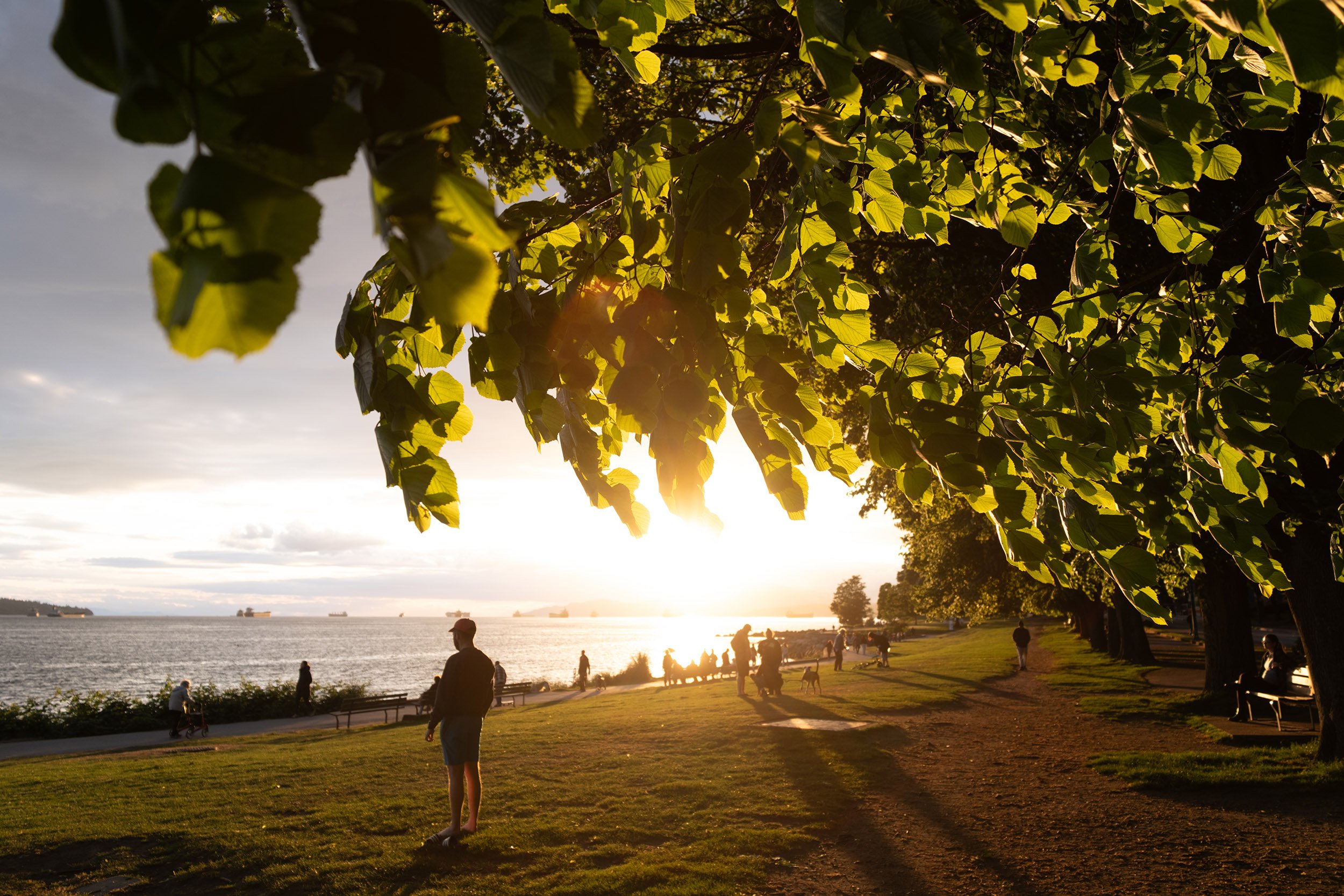 Evening at English Bay Beach in Vancouver. Sample image from a Fujifilm XF 16-50mm f/2.8-4.8 R LM WR and Fujifilm X-T50.