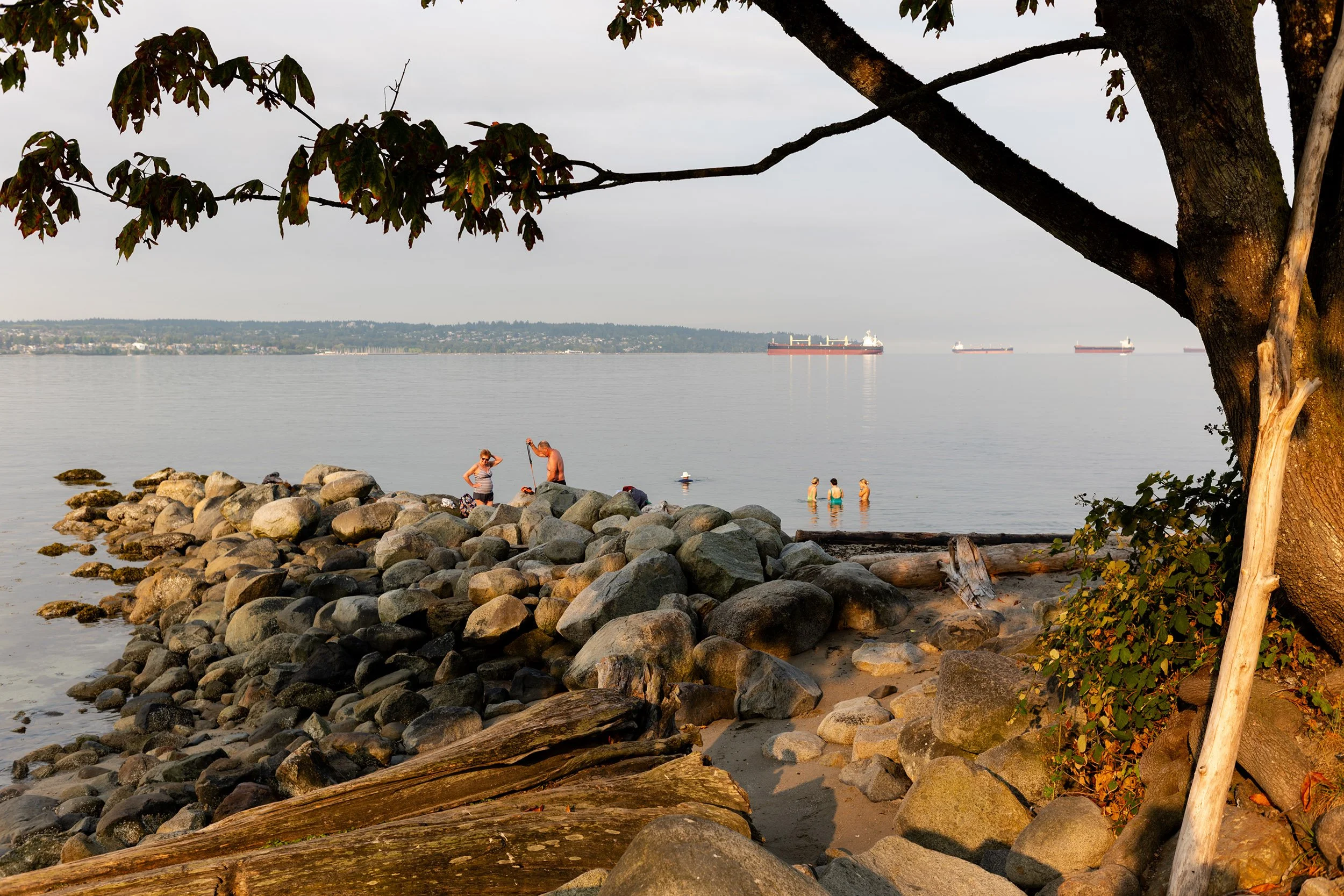 Morning swim at English Bay. Sample image from a Voigtländer Nokton Classic 35mm f/1.4 II MC and Leica SL2-S.