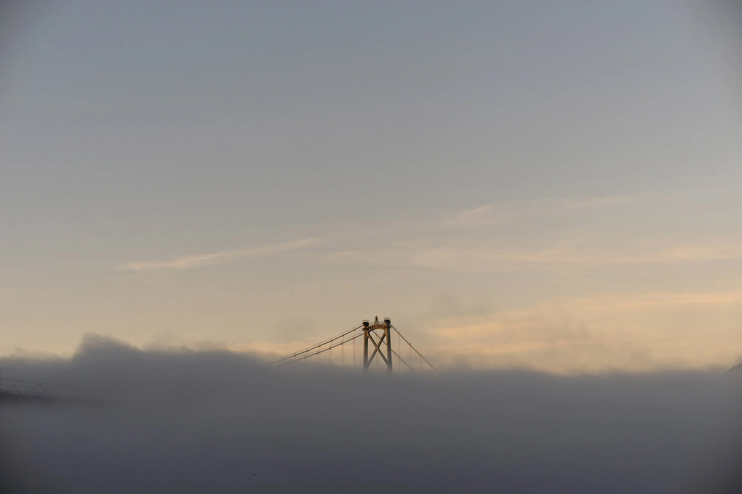 Fog at Lions Gate Bridge in Vancouver. Tree and reflection, Coquitlam River. Sample image from a Viltrox 56mm f/1.2 Z (Nikon Z-Mount) and Nikon Z8.