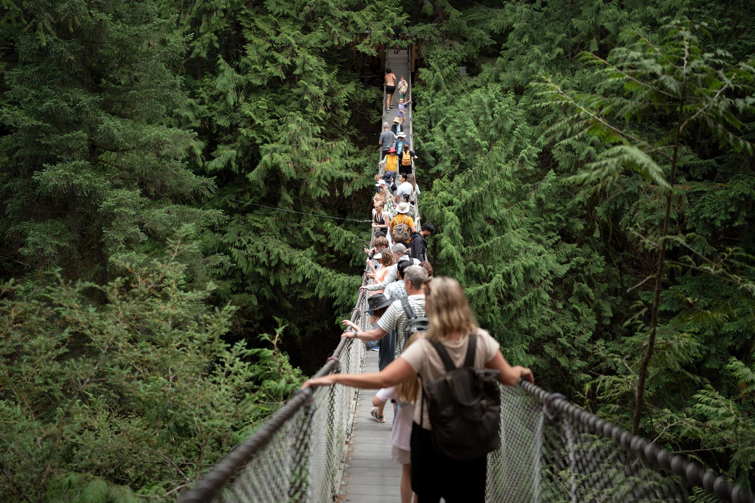 Lynn Canyon Suspension Bridge, July 2026