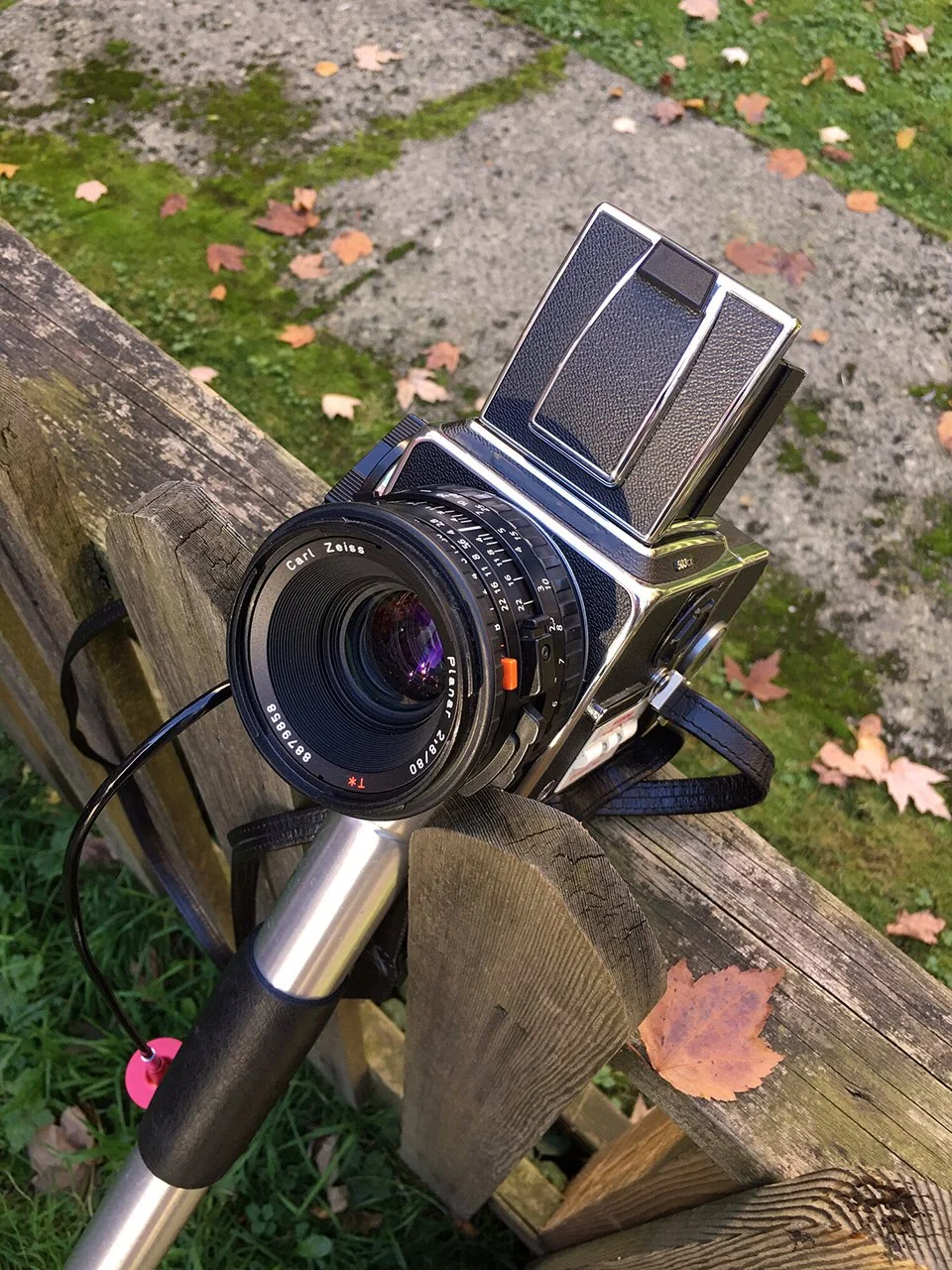 Hasselblad 503CX Review | 5050 Travelog