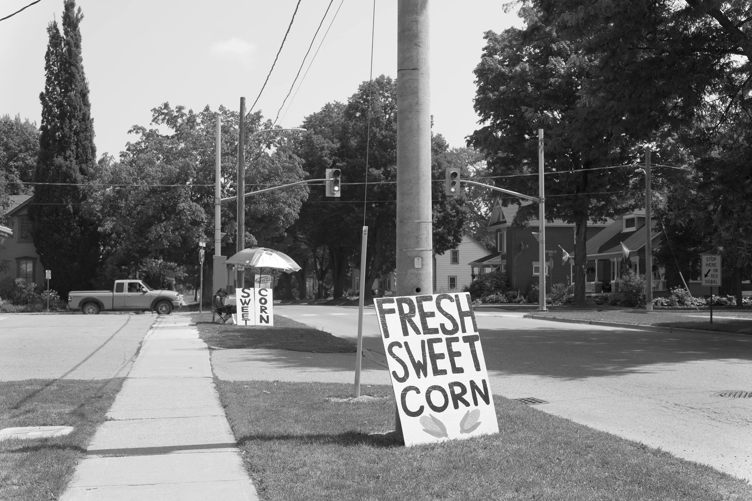 Fresh sweet corn for sale in St. Marys, Ontario