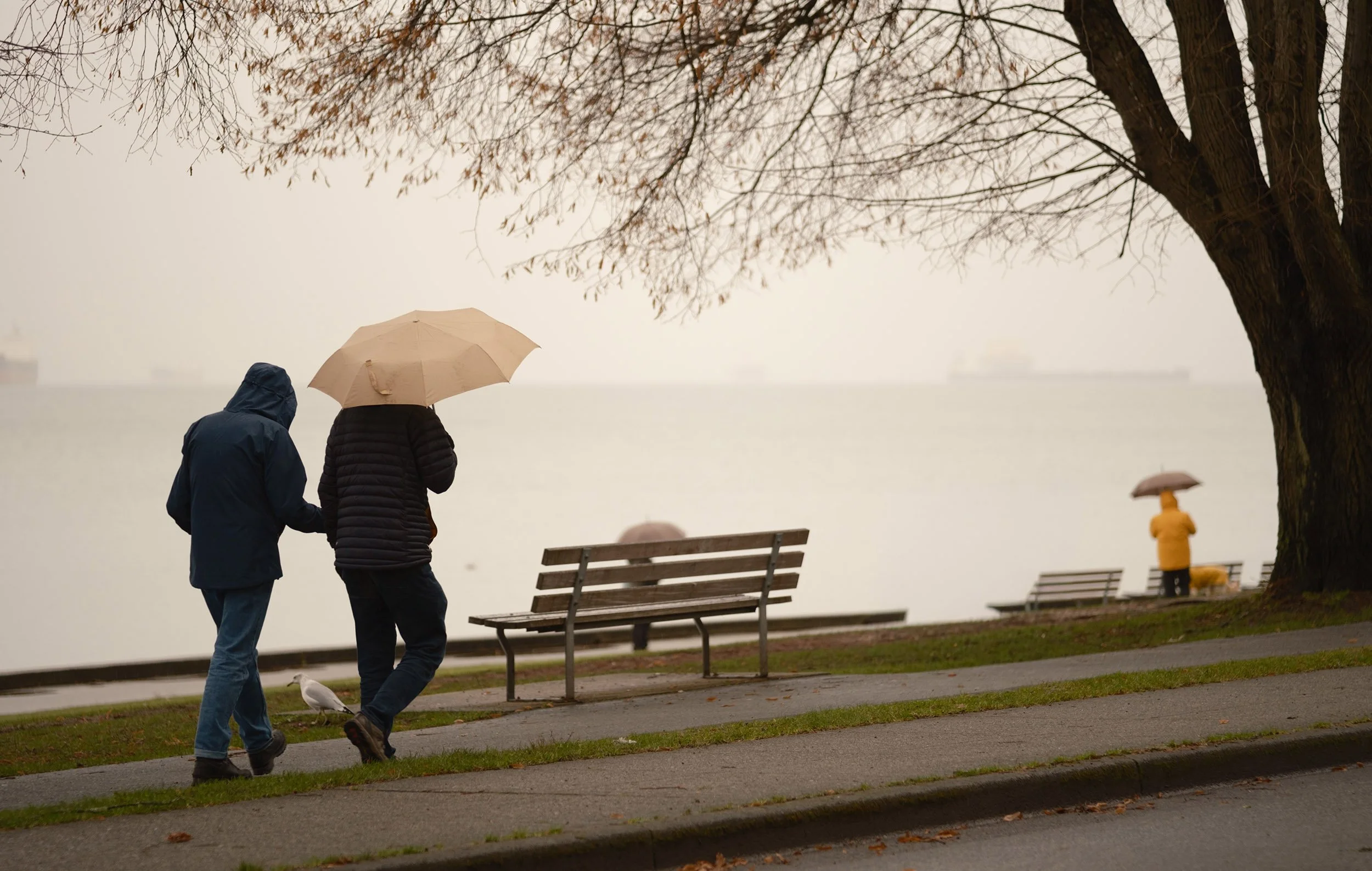 Rain at English Bay on January 7th, 2026