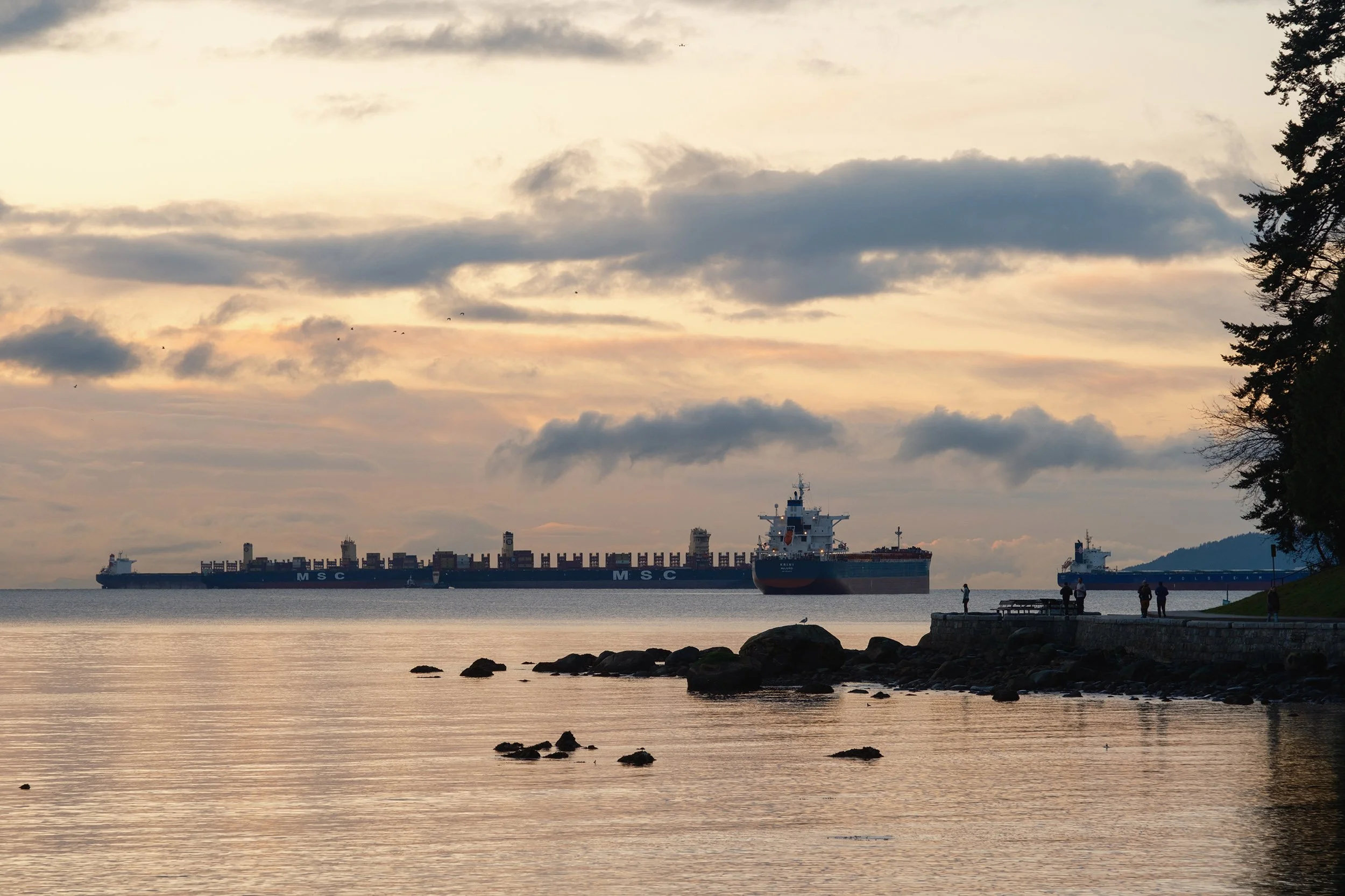 Stanley Park Seawall, January