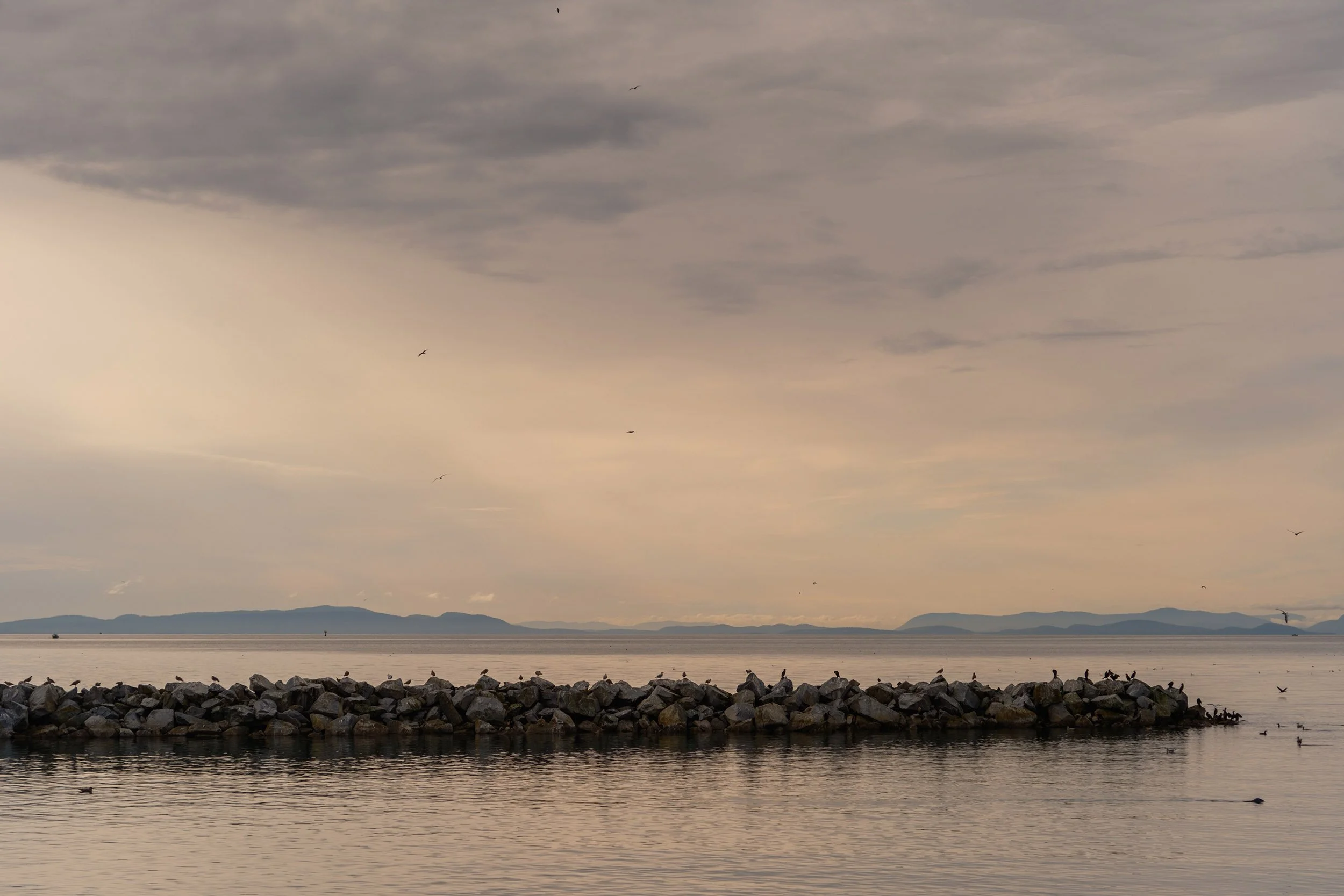 White Rock Pier, Sample image from a Fujifilm X-E5 and Voigtländer Nokton 50mm f/1.2 VM.