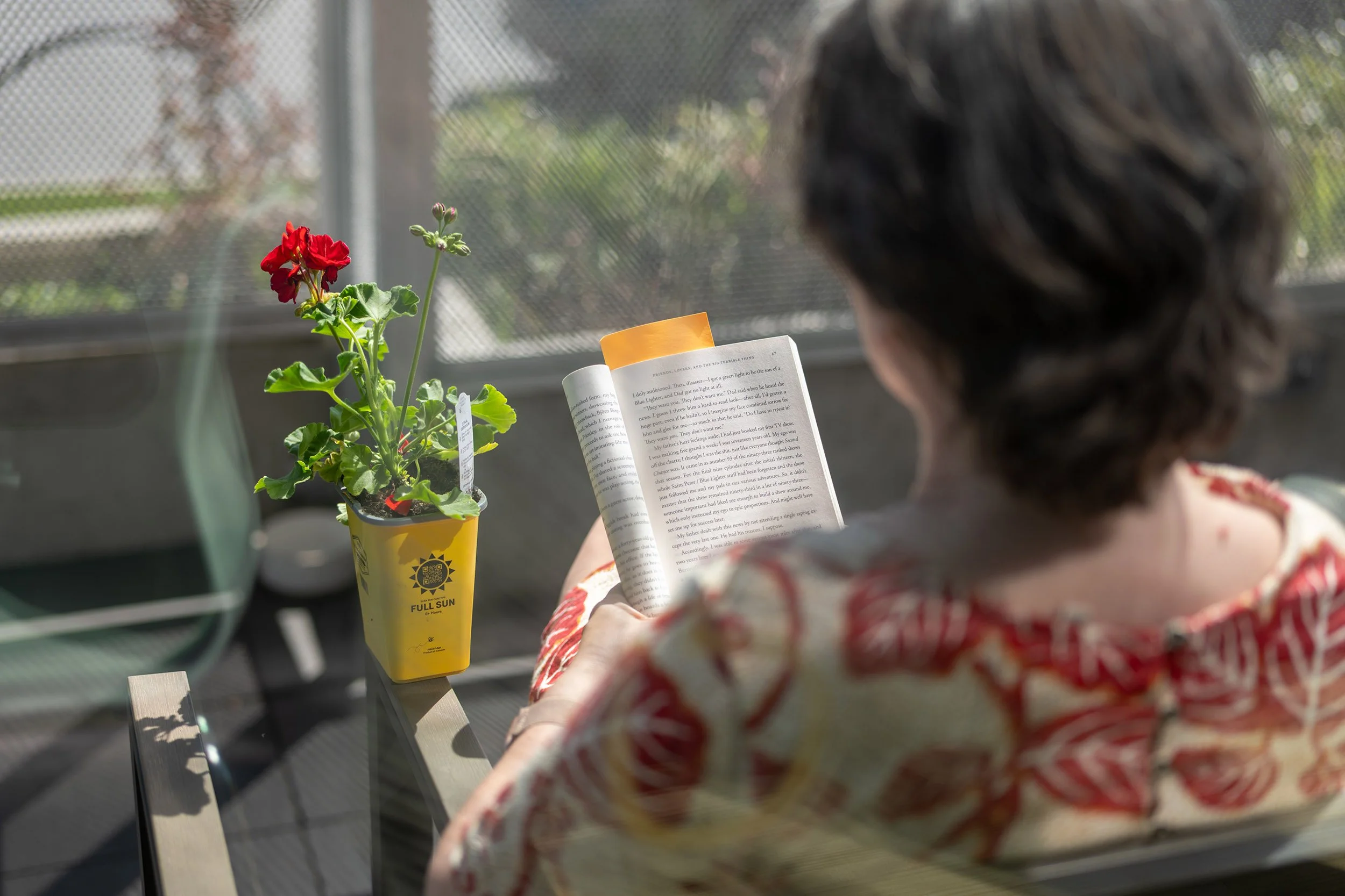 Diana Byskov reading a book in the sun