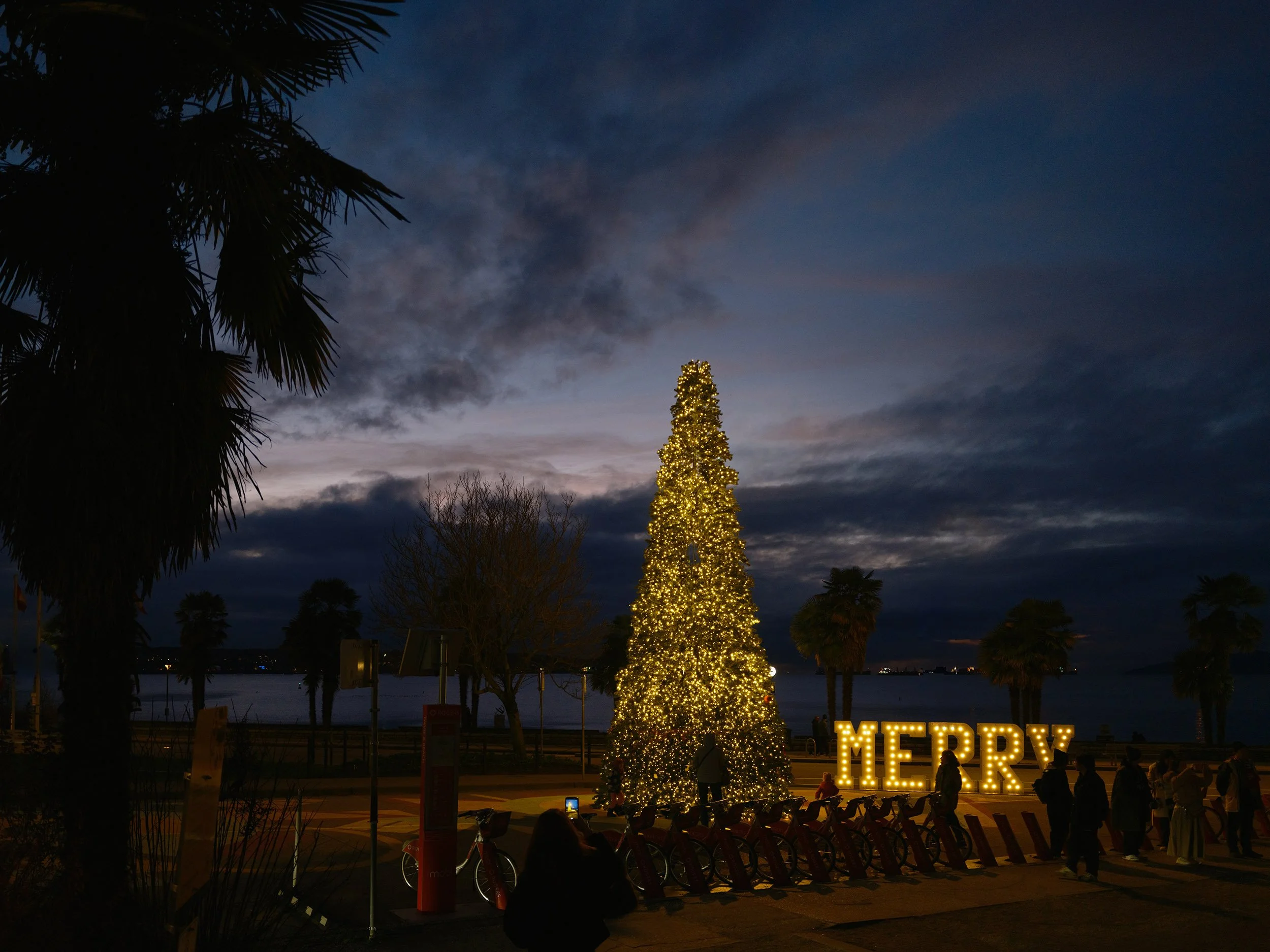 Christmas tree by English Bay, December 23, 2025