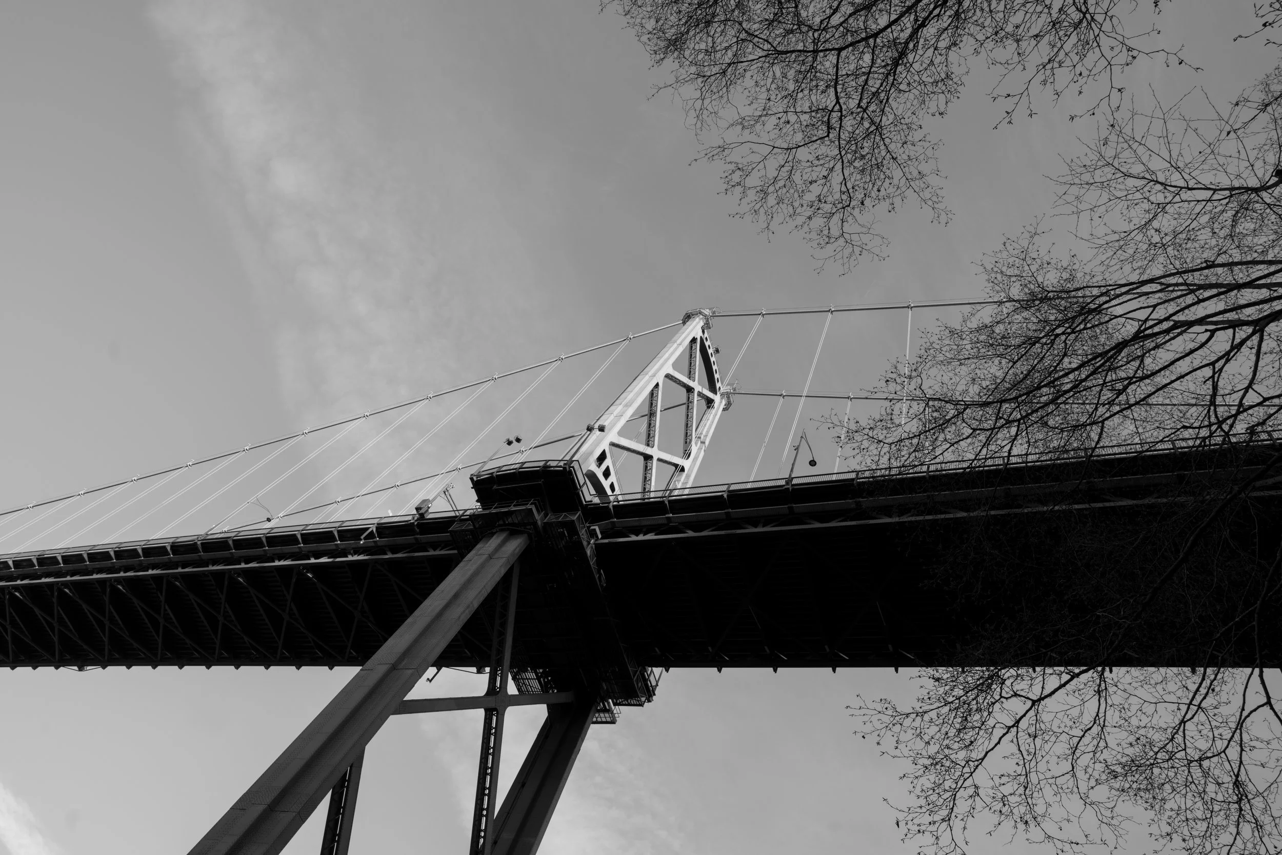 Lions Gate Bridge, black-an-white photo. Sample image from a Sony FE 24mm f/1.4 GM and Sony A7 V.