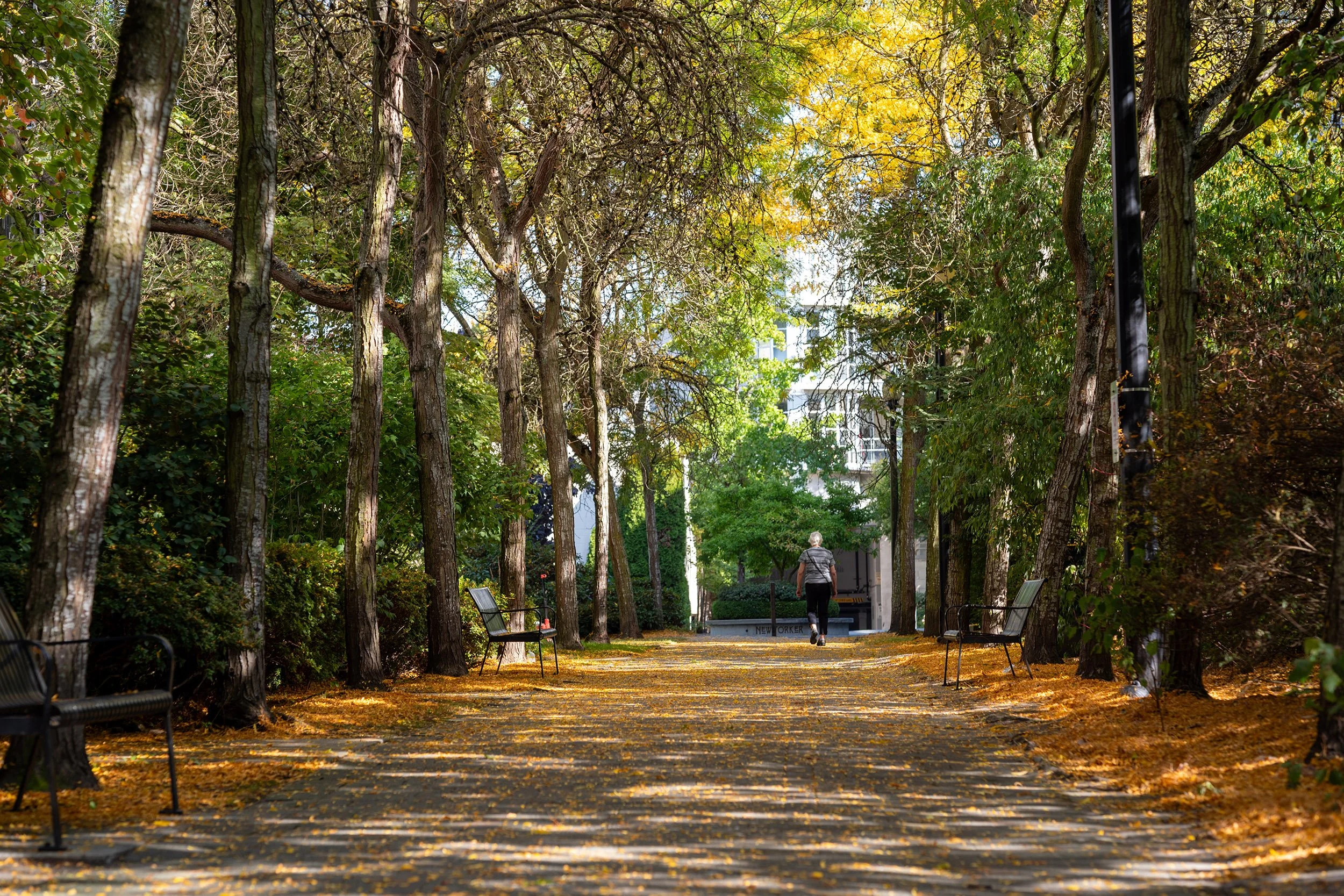 Arbutus Greenway Park, Vancouver, September 2026