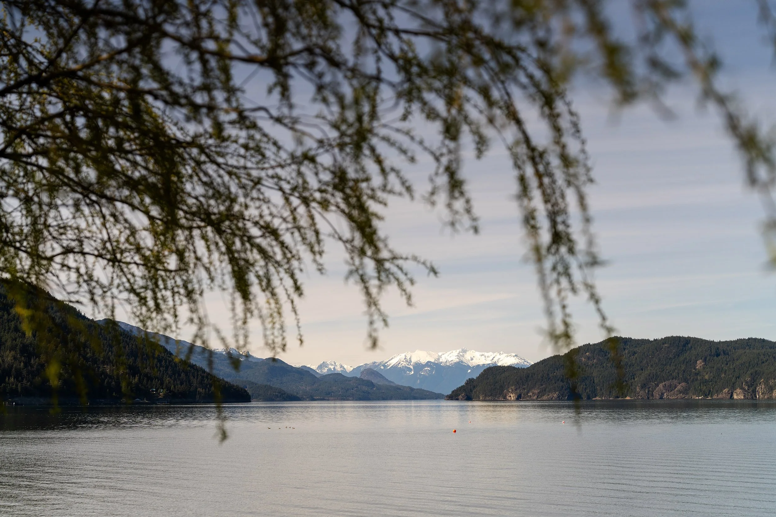 Harrison Lake at Harrison Hot Springs. Sample image from a Sony A7R V and Sony FE 50mm f/1.4 GM.