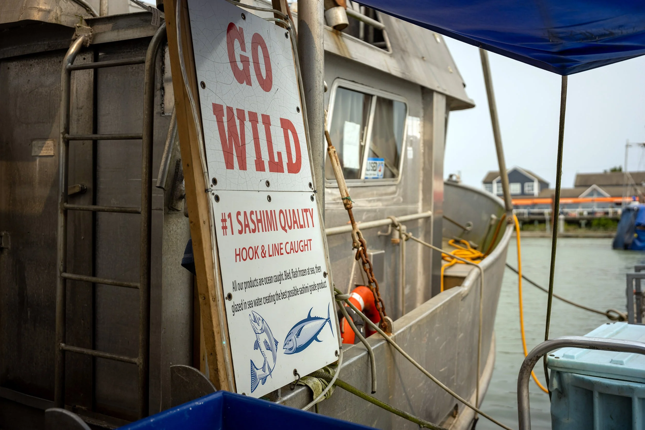 Go wild in Steveston. Sample image from a Sony A7R VI and Sigma 35mm f/1.4 DG II Art