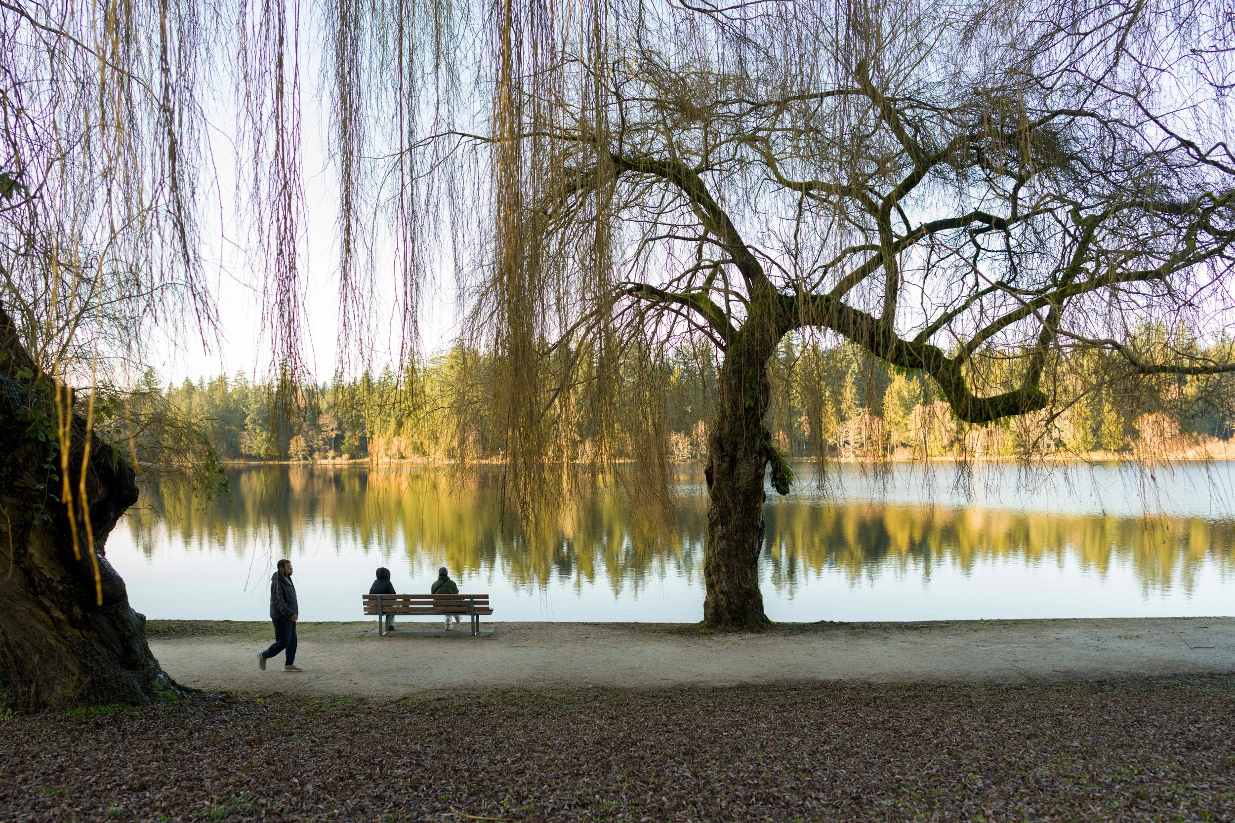 Walking path at Lost Lagoon in Vancouver. Sample image from a Sony FE 24mm f/1.4 GM and Sony A7 V.