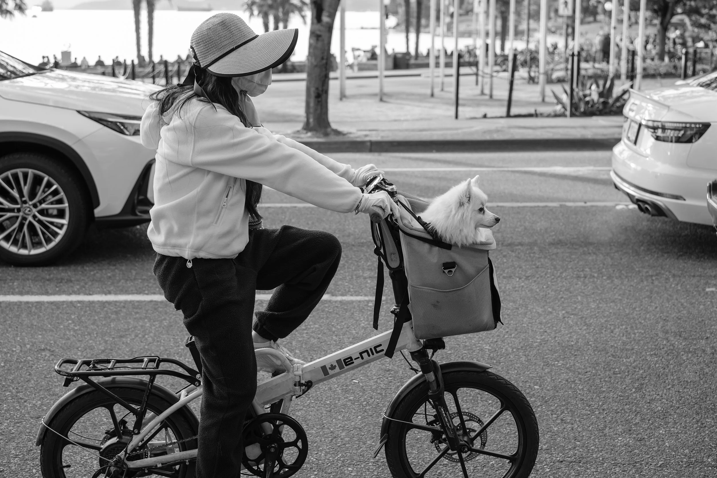 A woman cycles in Vancouver's West End with a dog in a carrier. Sample image from a Fujifilm X-T50 and XF 33mm f/1.4 R LM WR.