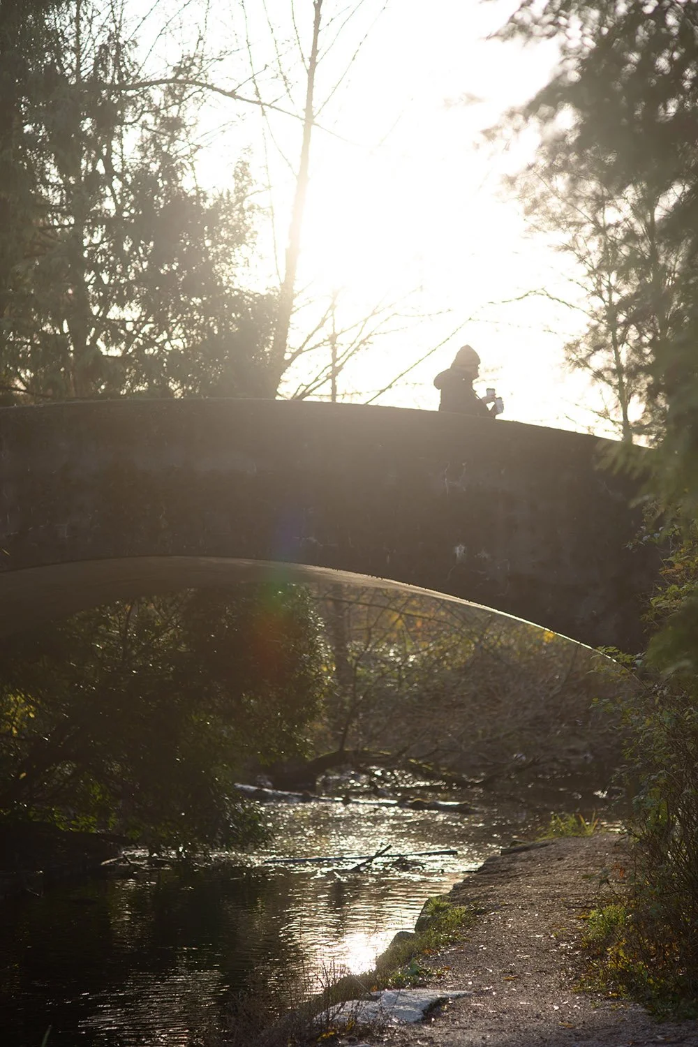 The bridge by the Lost Lagoon in Vancouver. Sample image from a Nikon Zf and Voigtländer Ultron 75mm f/1.9 MC.