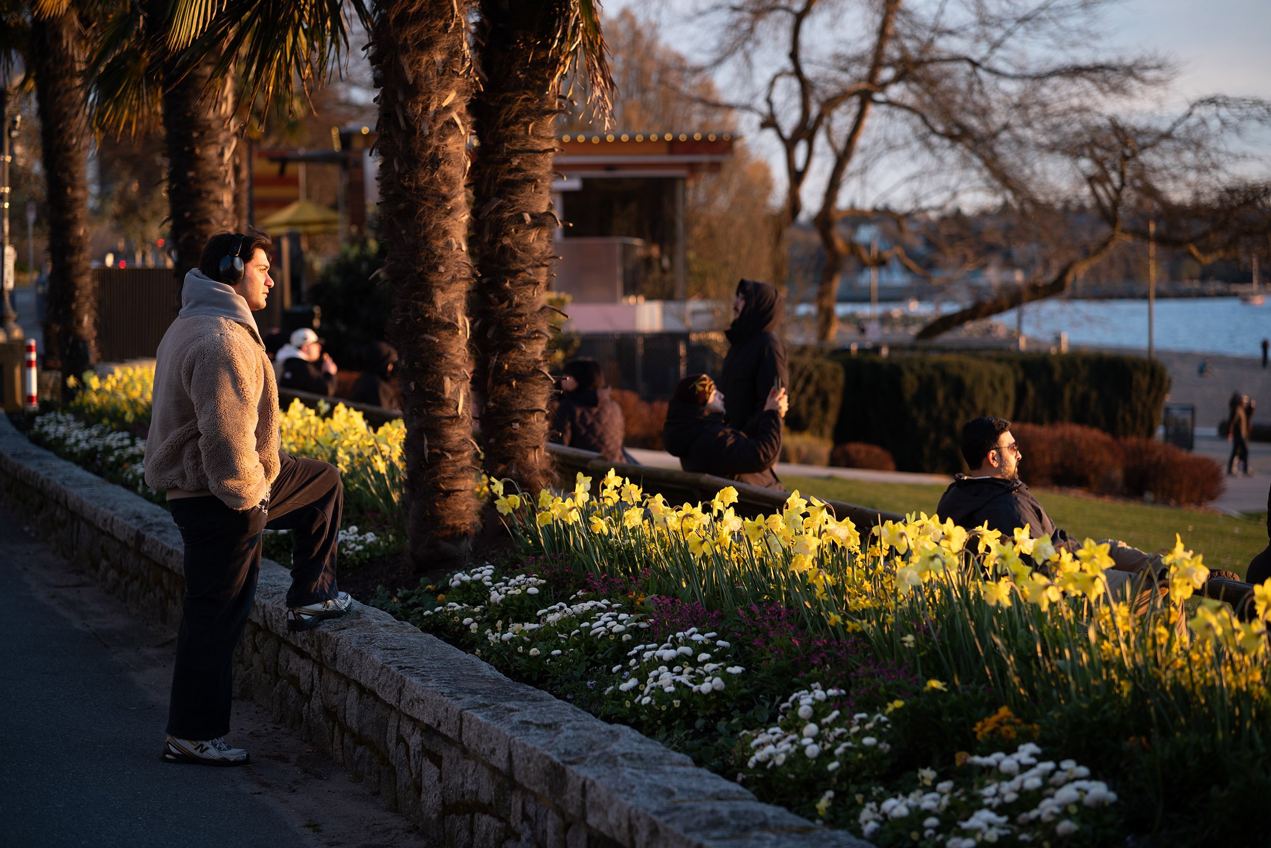 Watching the sunset from Beach Ave in Vancouver