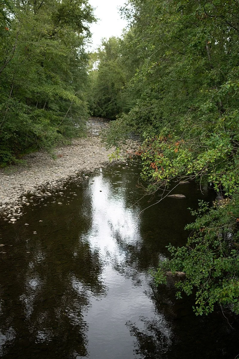 Lynn Creek, North Vancouver. Sample image from a Fujifilm XF 23mm f/1.4 R LM WR and Fujifilm X-Pro1.