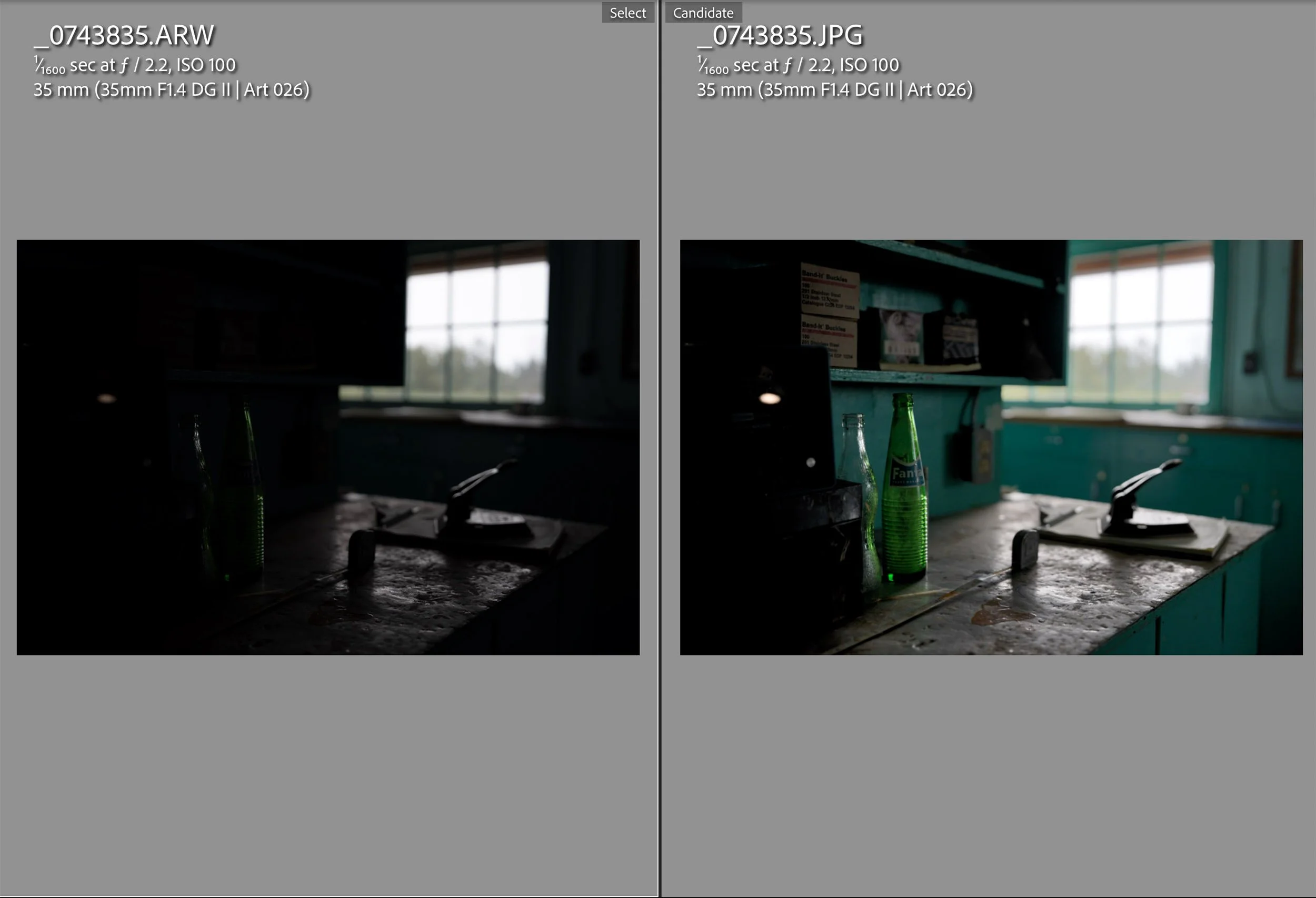 The difference between RAW and JPEG, Sony A7R VI