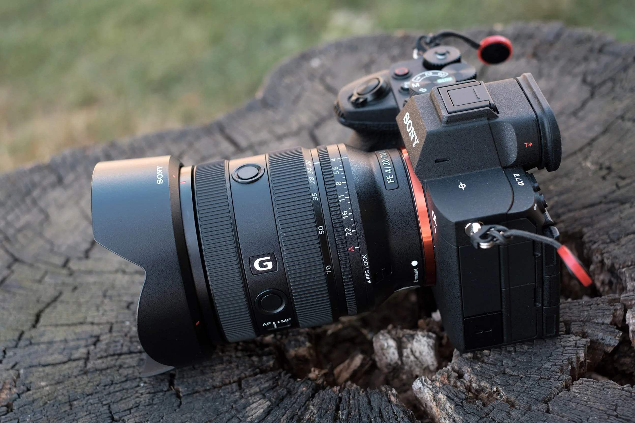 Sony FE 20-70mm f/4 G and Sony A7 V Review