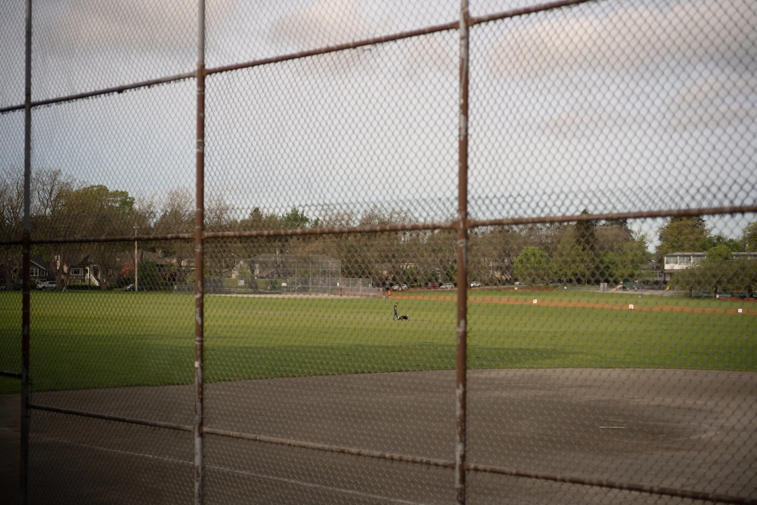Dog walk in Kitsilano