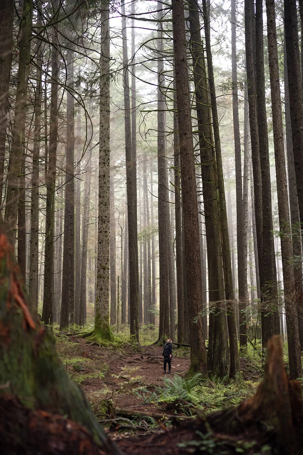 Diana Byskov walking the trails near Mt. Fromme in North Vancouver. Sample image from a Voigtländer Nokton 50mm f/1.2 Aspherical and Nikon Zf.