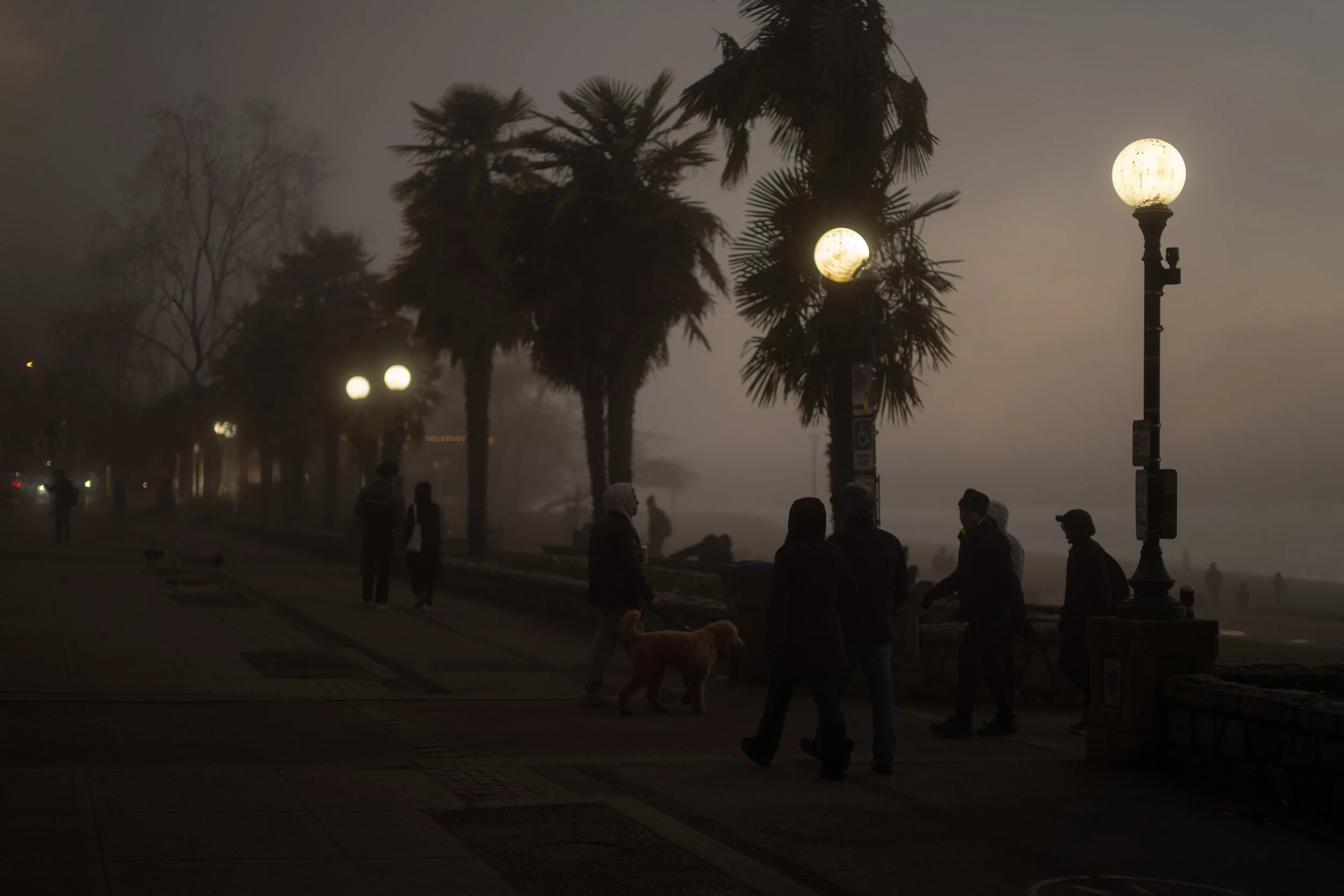 A foggy winter eve at English Bay Beach in Vancouver.