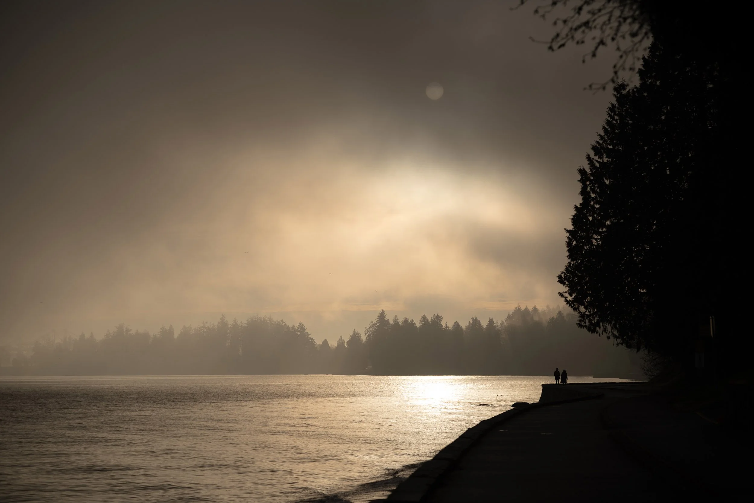 New Years Eve's Day on the Stanley Park Seawall, 2025