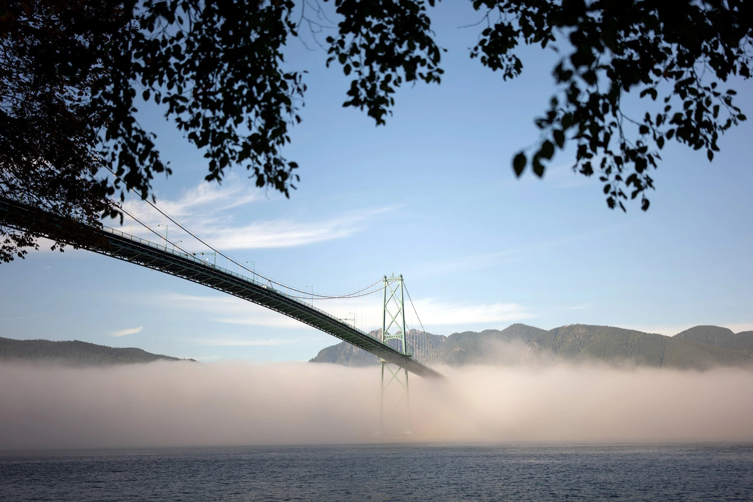 Fog at Lions Gate Bridge in October 2026. Sample image from a Sigma 35mm f/1.4 DG II Art.