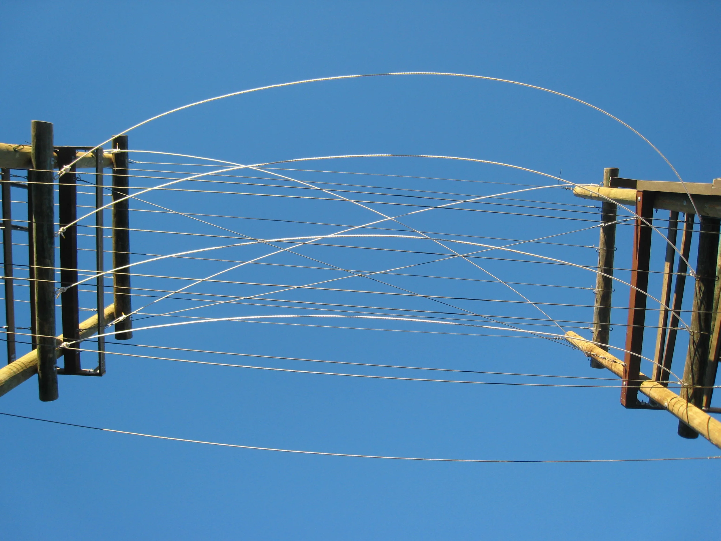 Cosmo and UCSB 346.JPG