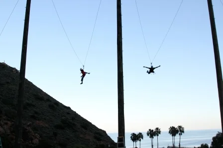 CIMI swing 2-11 198.jpg
