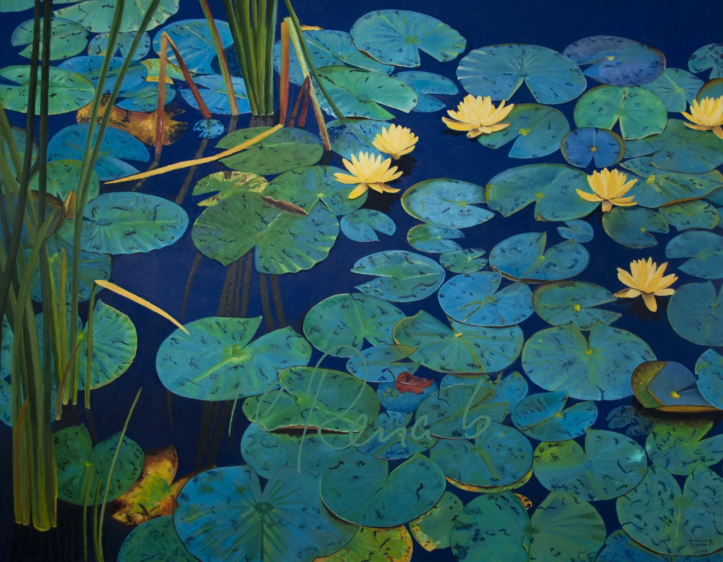Seerosen in Blau