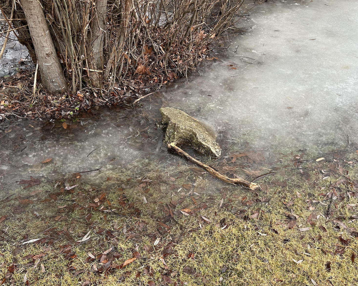 Reflections on the Highway Winter 2026