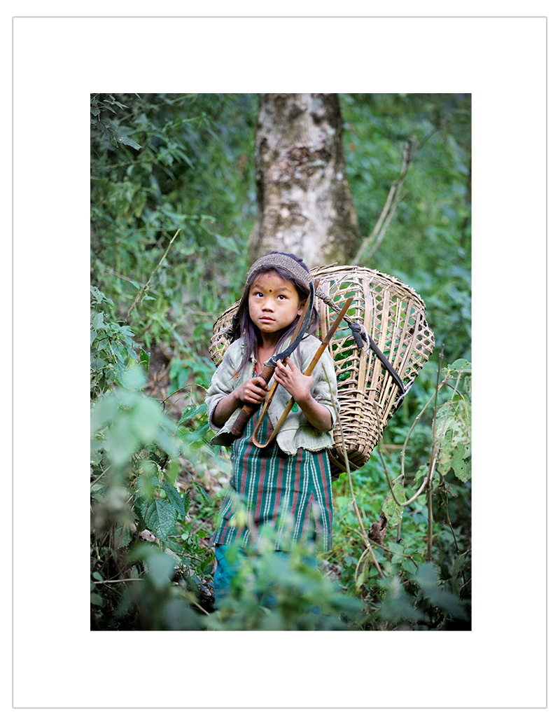 "Searching food in the forest"