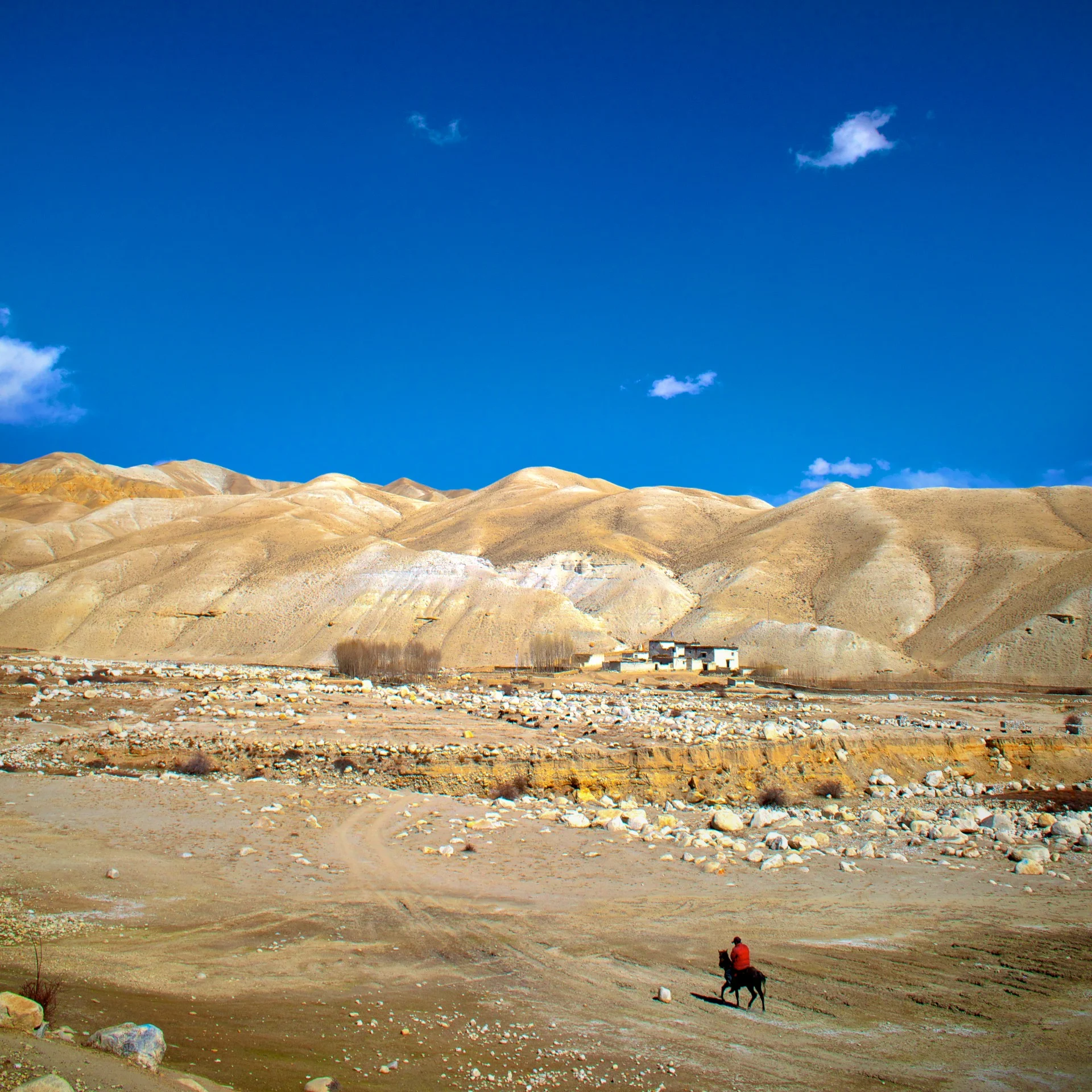 021_6O8A8860_-_Version_2.jpg