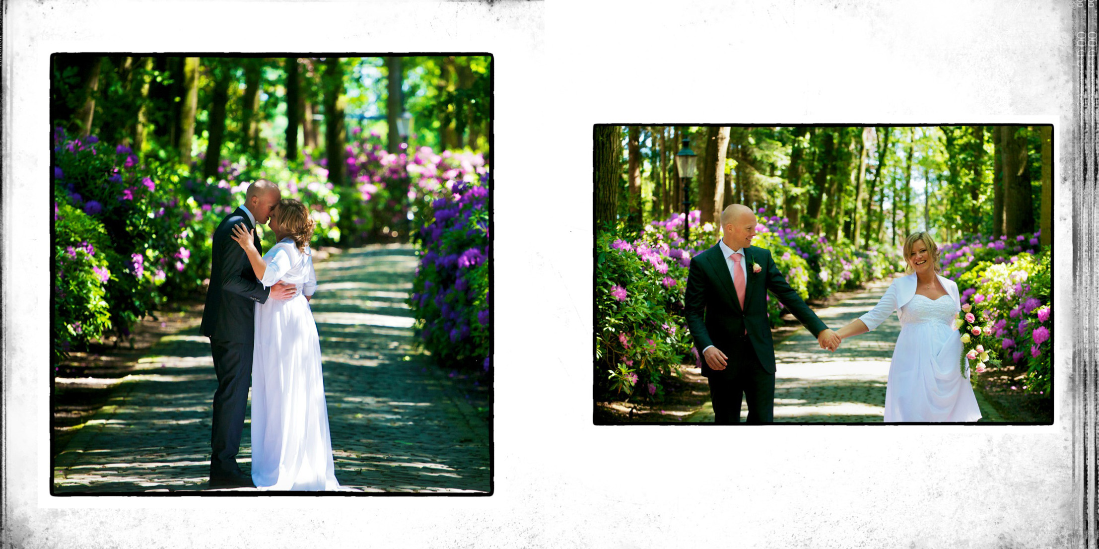 015- Portfolio - Pim Horvers Photography.jpeg
