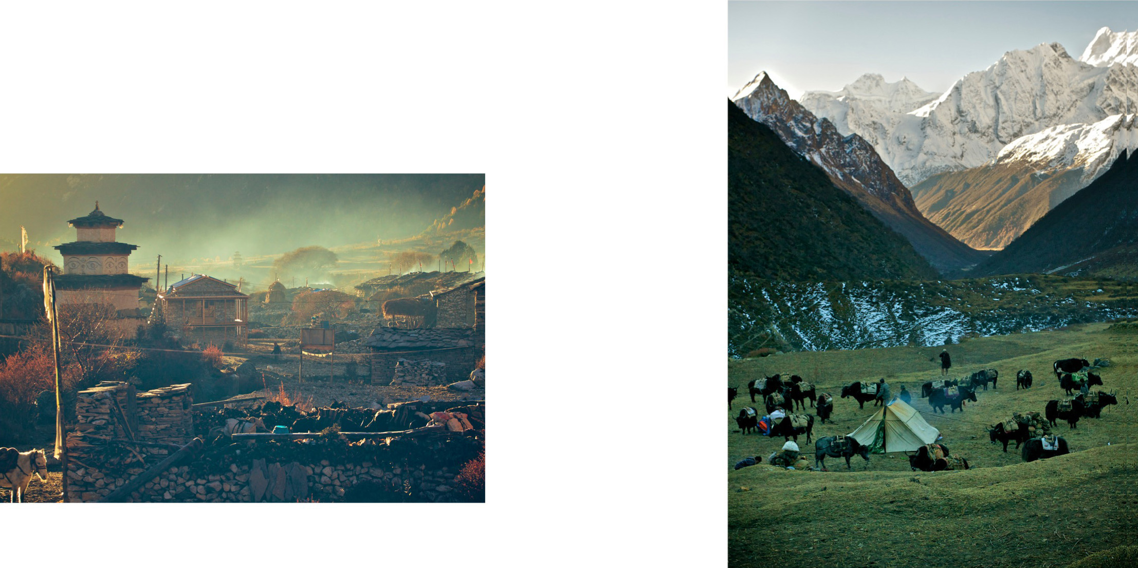 124- Portfolio - Pim Horvers Photography.jpeg
