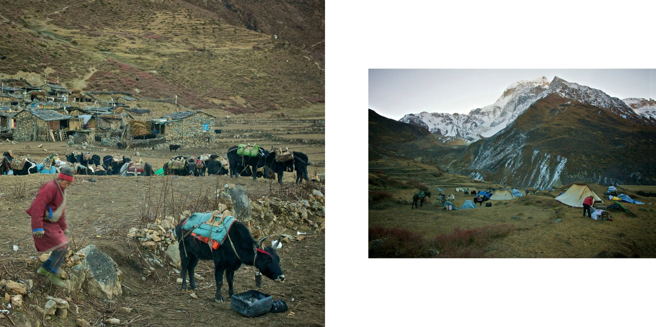 125- Portfolio - Pim Horvers Photography.jpeg